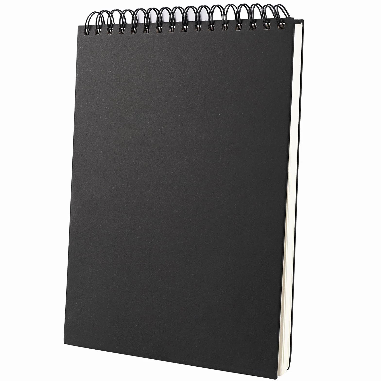 Album da Disegno A4 Sketchbook, 160 gsm A4 Quaderno da Disegno Spiralato, 120 Pagine/ 60 Fogli Album da Disegno Professionale per Matita Penna Acquerello (Copertina Nero)