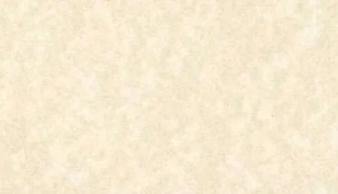 DJP Carta pergamena certificata A3, 90 g/m², confezione da 100 fogli