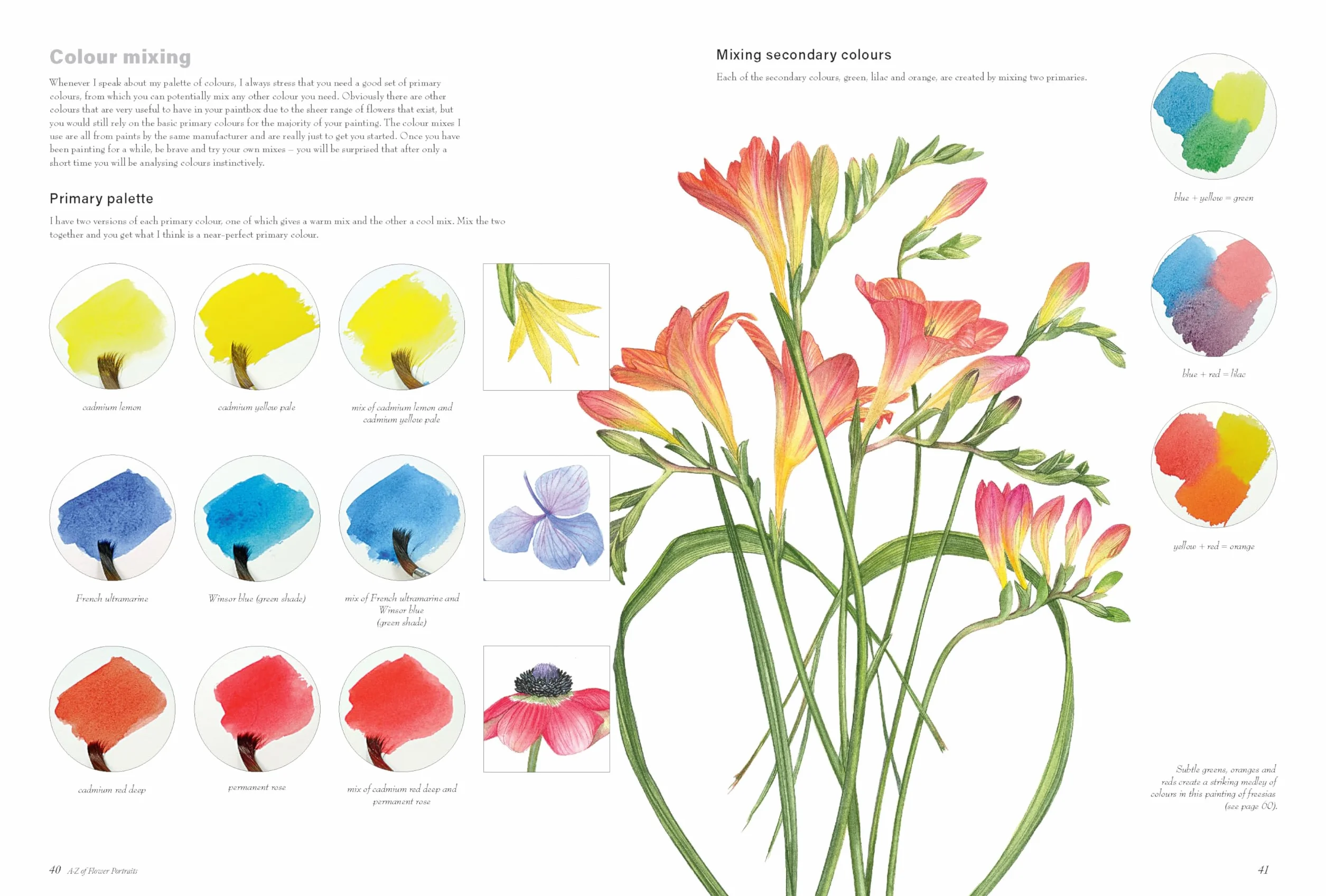 A-Z of Flower Portraits: An Illustrated Guide to Painting 40 Beautiful Flowers in Watercolour