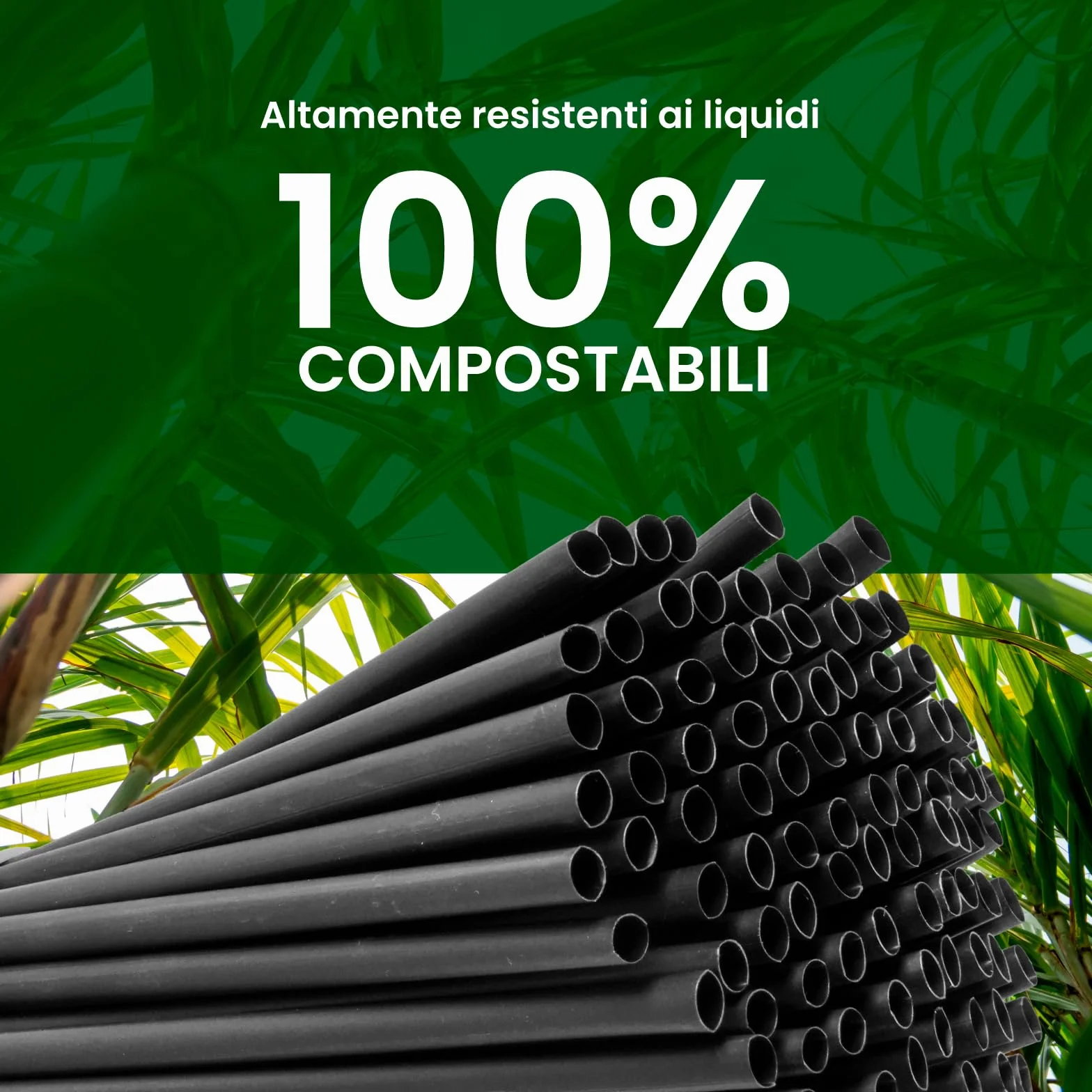 Cannucce Rigide Riutilizzabili 100% Ecologiche Compostabili - Nero 21cm x 6,8mm - Made in Italy