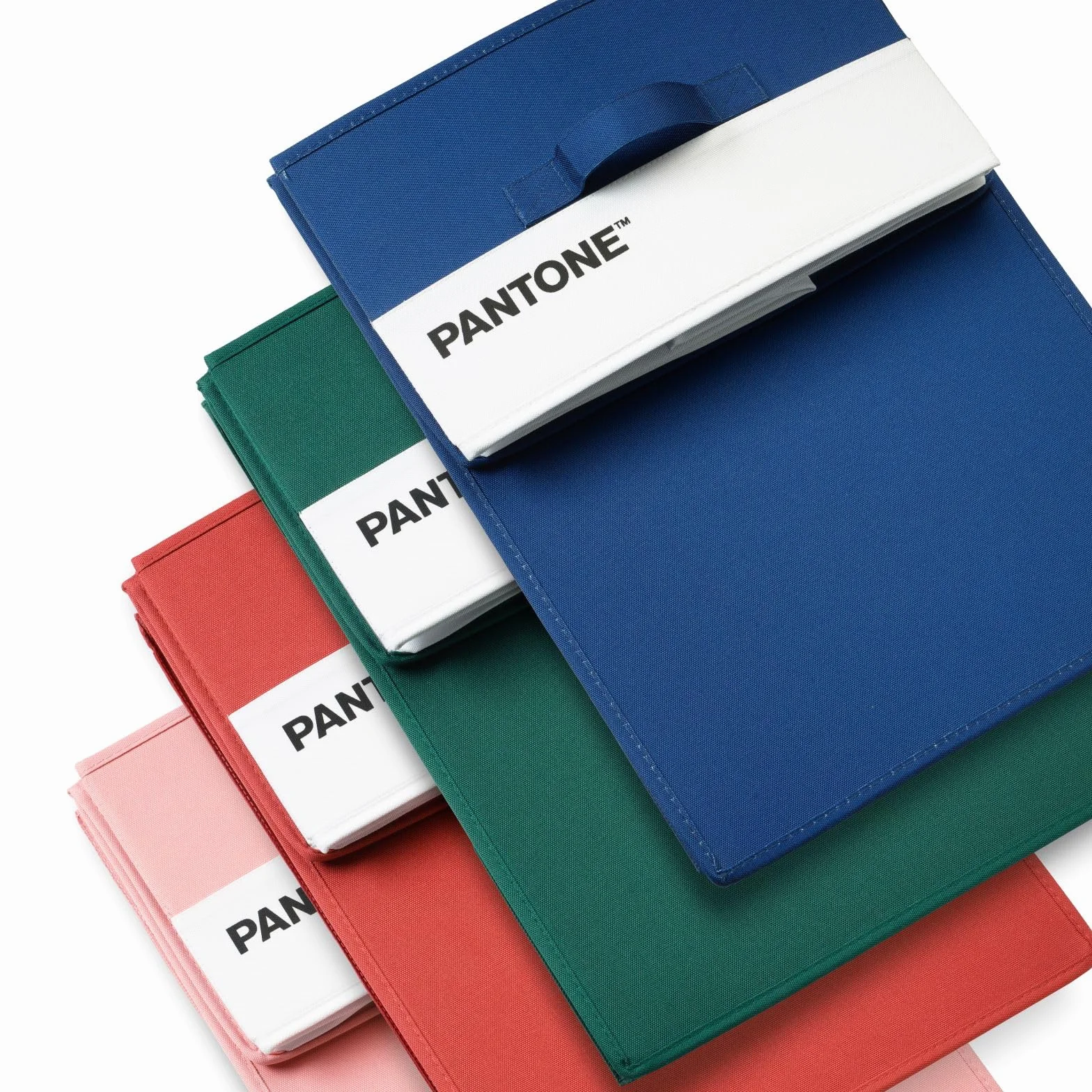 PANTONE Organizer Armadio Salvaspazio 40x50x25 cm
