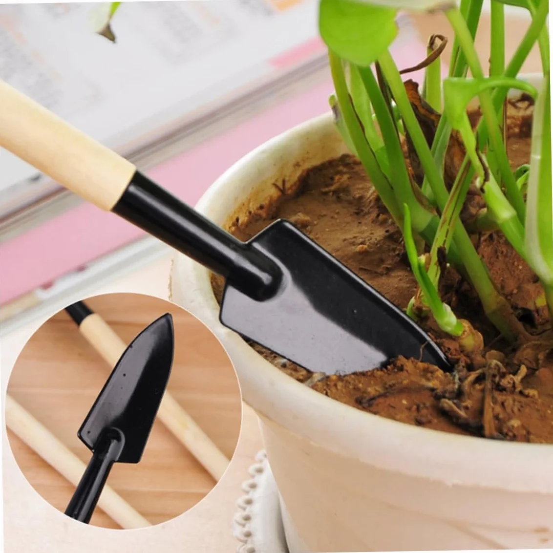 Set di strumenti da giardino da 14 pezzi per trapianto manuale di cactus