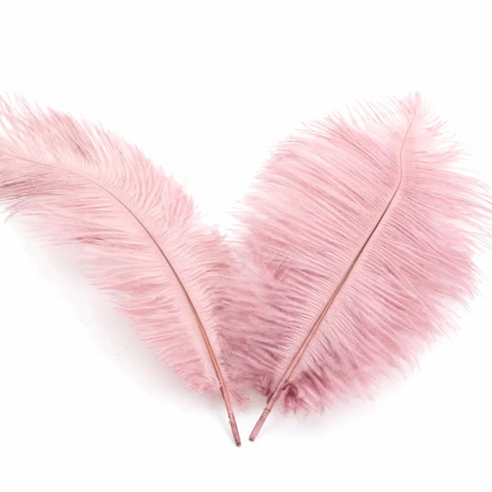 Naturalne pióra strusie 20-25 cm do dekoracji domu, ślubów, przyjęć, akcesoriów DIY