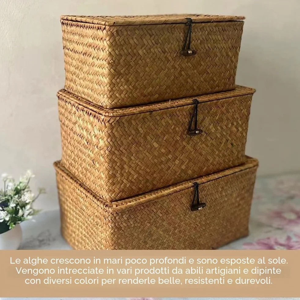 Cesto in rattan con coperchio, 3 pezzi Cesto portaoggetti in giunco marino naturale, Cesto portaoggetti multifunzionale, Cesto per scaffale intrecciato (B)