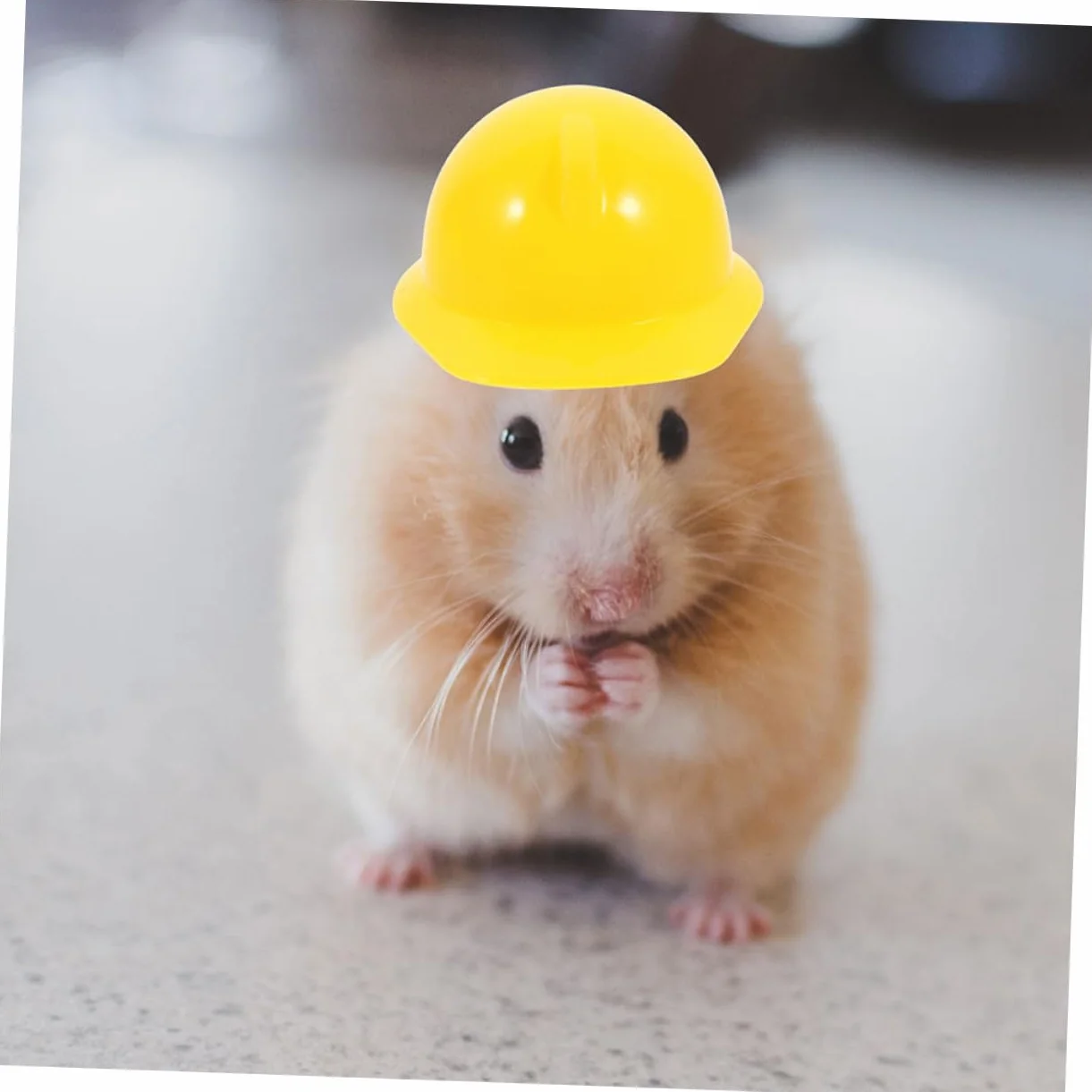 ibasenice Mini Casco Da Costruzione in Plastica Resistente 60 Pezzi, Cappelli Di Sicurezza Per Bambole e Animali Domestici, Decorazione Fai Da Te Per Tappi Di Bottiglia e Feste