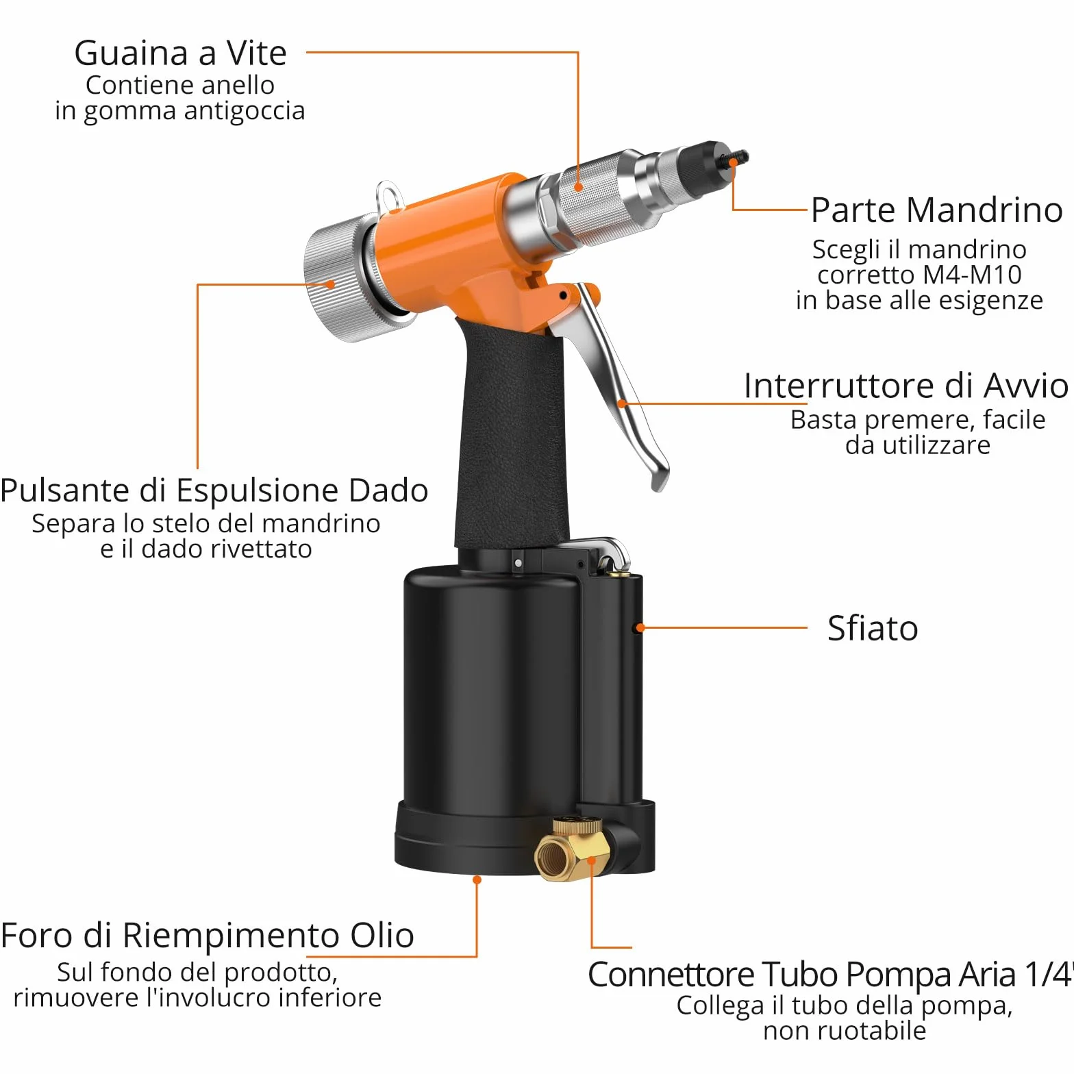 Proster Pistola Pneumatica per Rivetti Set Rivet Nut 5 Mandrini M4-M10 1400KGF Valvola Regolazione Pressione Custodia