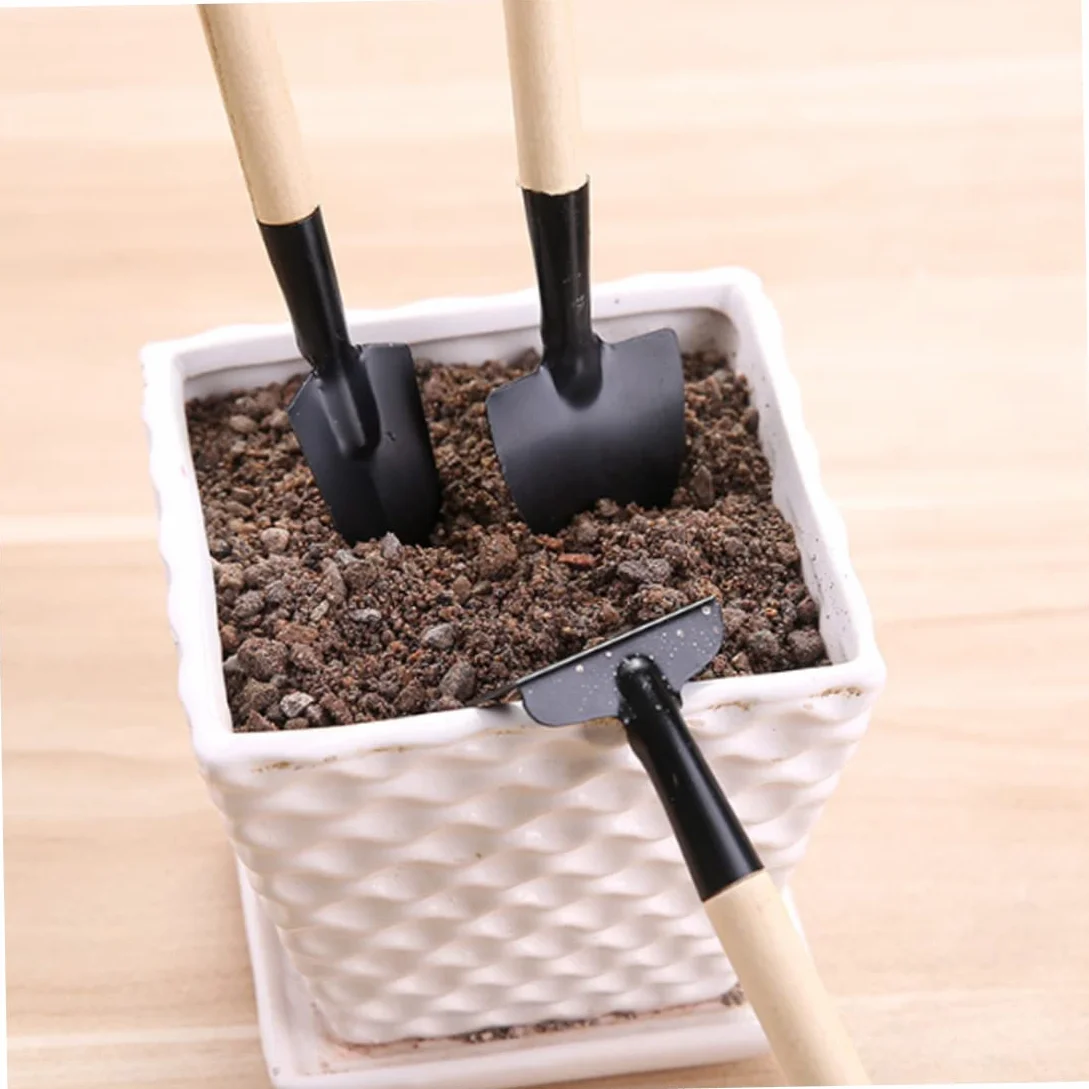 Set di strumenti da giardino da 14 pezzi per trapianto manuale di cactus