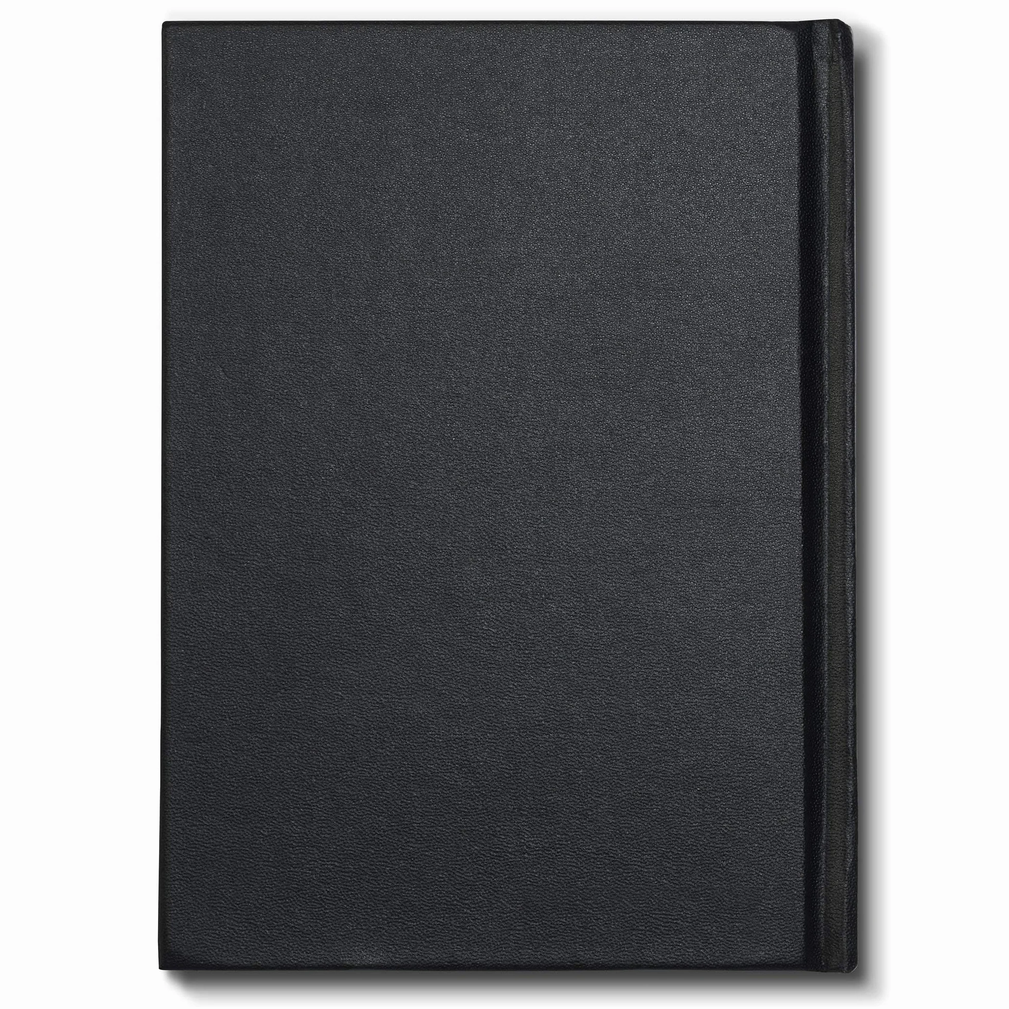 Winsor & Newton Carta Schizzo - Taccuino da Viaggio 170 g - A5-50 Fogli