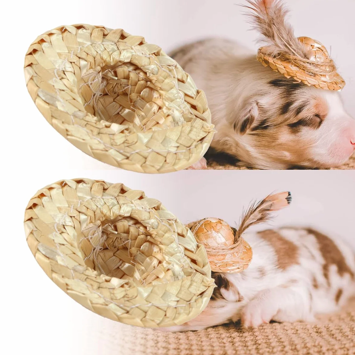 20 Mini cappelli intrecciati in miniatura Cappelli di paglia per lavoro a maglia Casa delle bambole Decorazione cowboy Bambole Piccoli cappelli per artigianato Natale Costume Festa