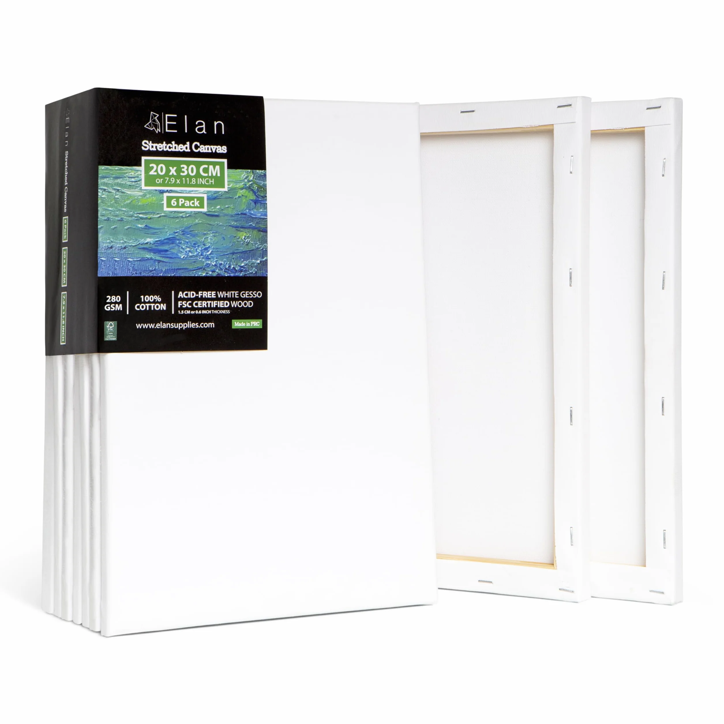 Elan Tela per Dipingere 20x30, Set da 6 Tele per Dipingere 20x30, 100% Cotone Tele Pittura, Canvas for Painting 280GSM, Tela 30x20