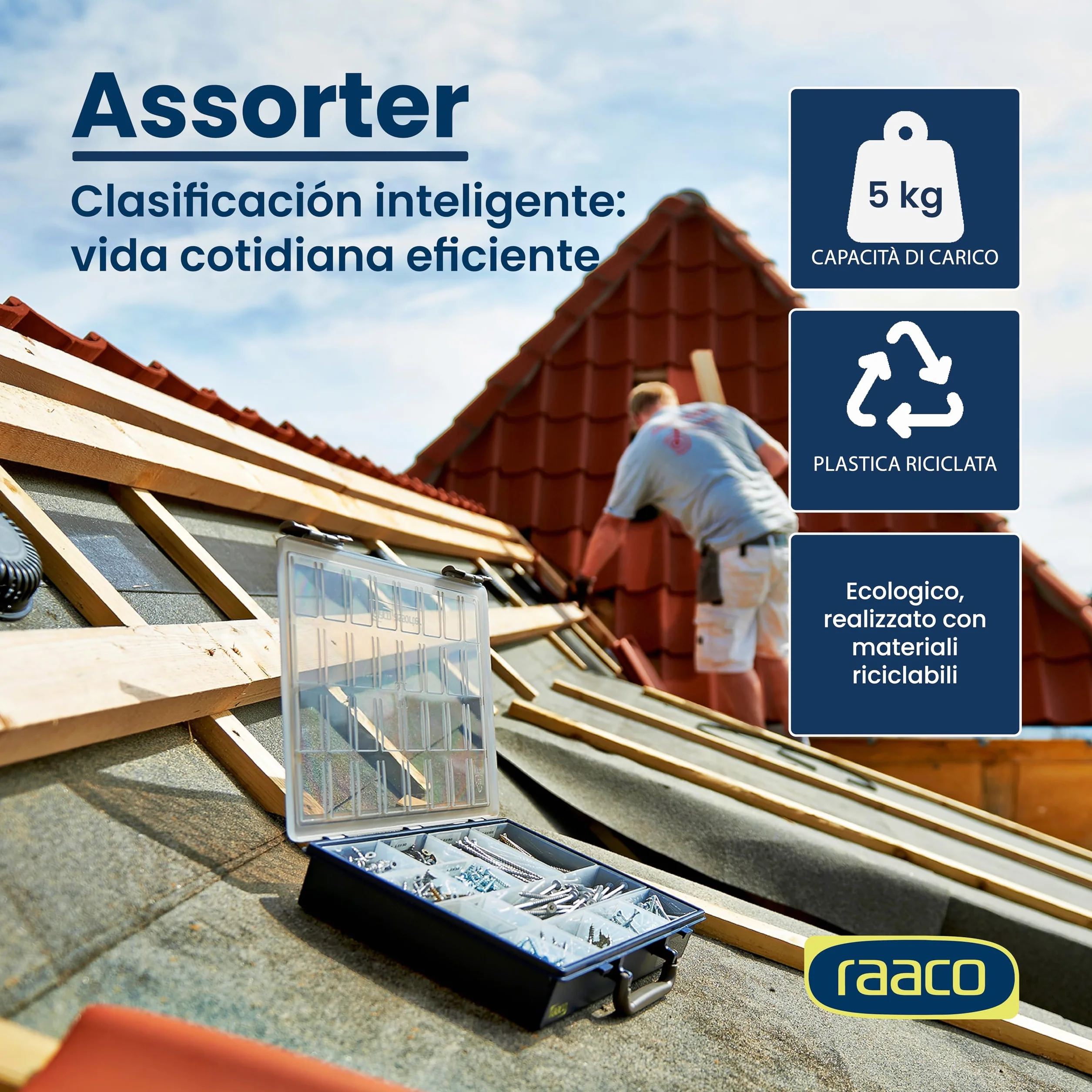 raaco Assorter 55 4x8-17 scatola porta oggetti organizer con 17 scomparti