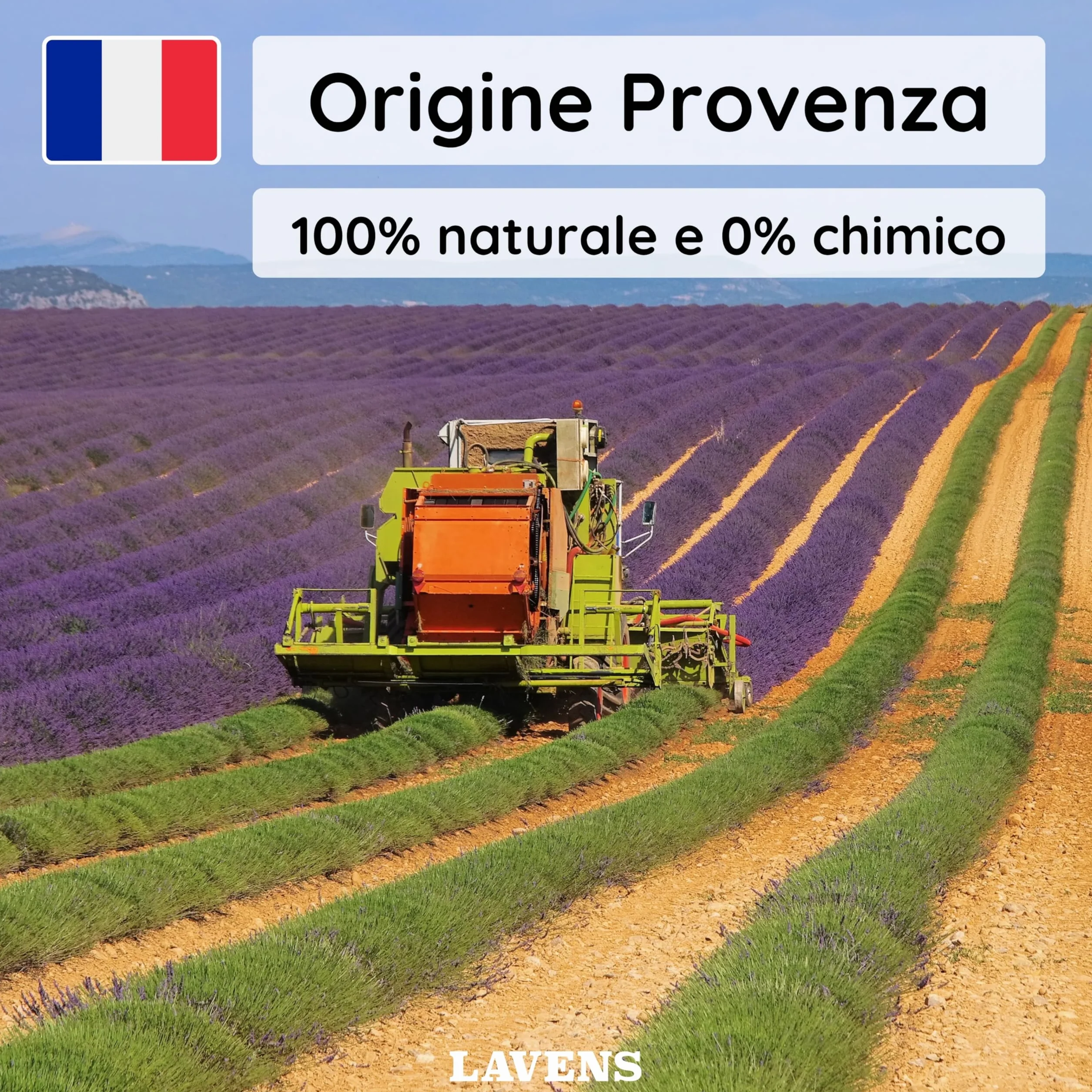 Sacchetti profumati alla lavanda Provenza Francia - Bustina per guardaroba biancheria ripostiglio