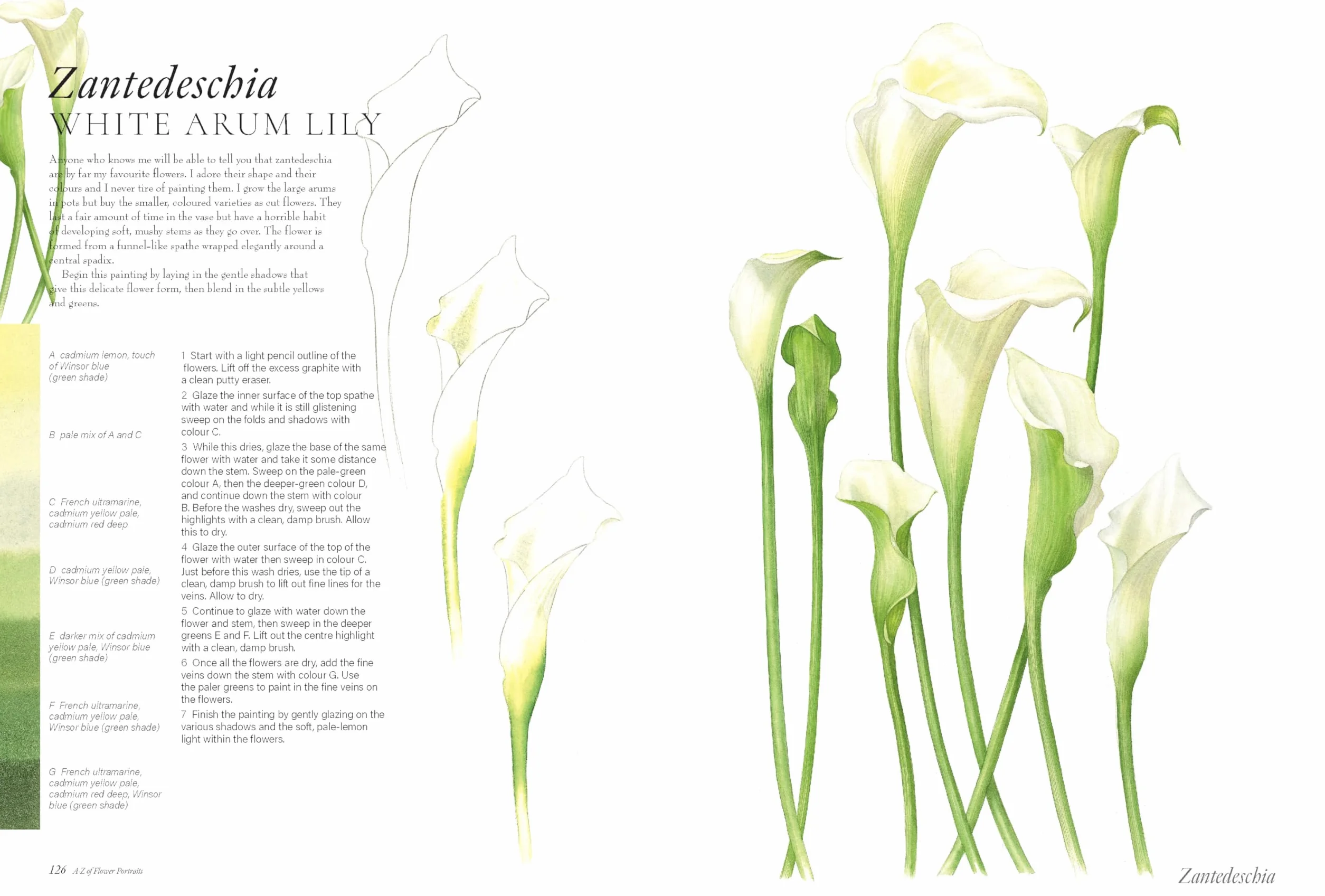 A-Z of Flower Portraits: An Illustrated Guide to Painting 40 Beautiful Flowers in Watercolour