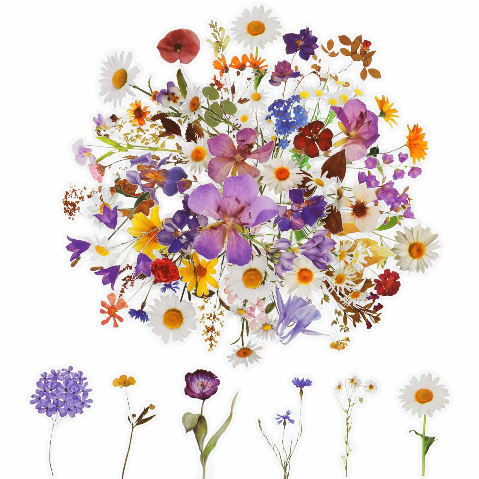 Set di 120 adesivi floreali per scrapbooking, fiori naturali estetici, adesivi floreali trasparenti per scrapbooking, artigianato, biglietti, computer portatili, (60 stili)