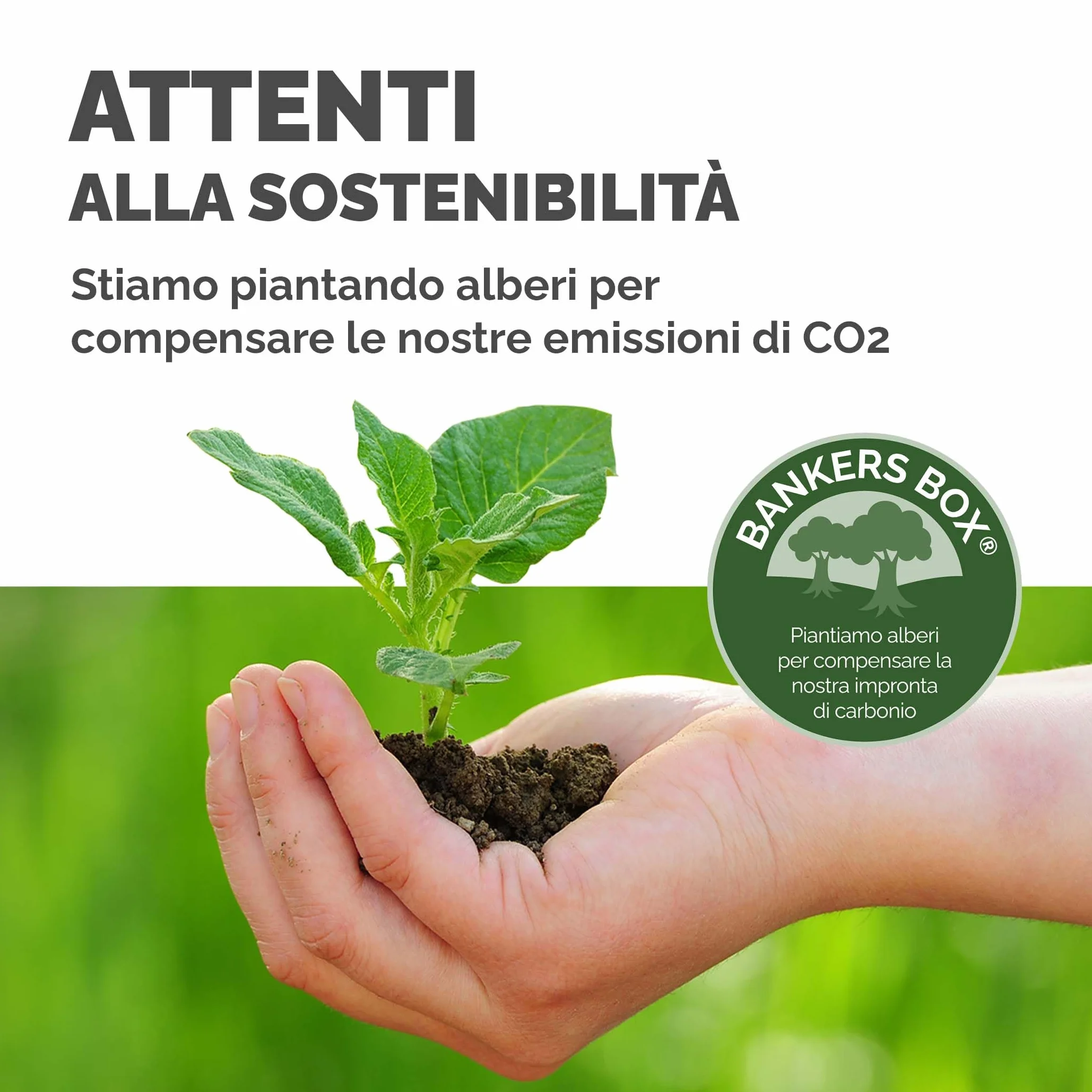 Bankers Box scatole in plastica 12L confezione da 3 impilabili coperchio anti polvere 11x32x40cm