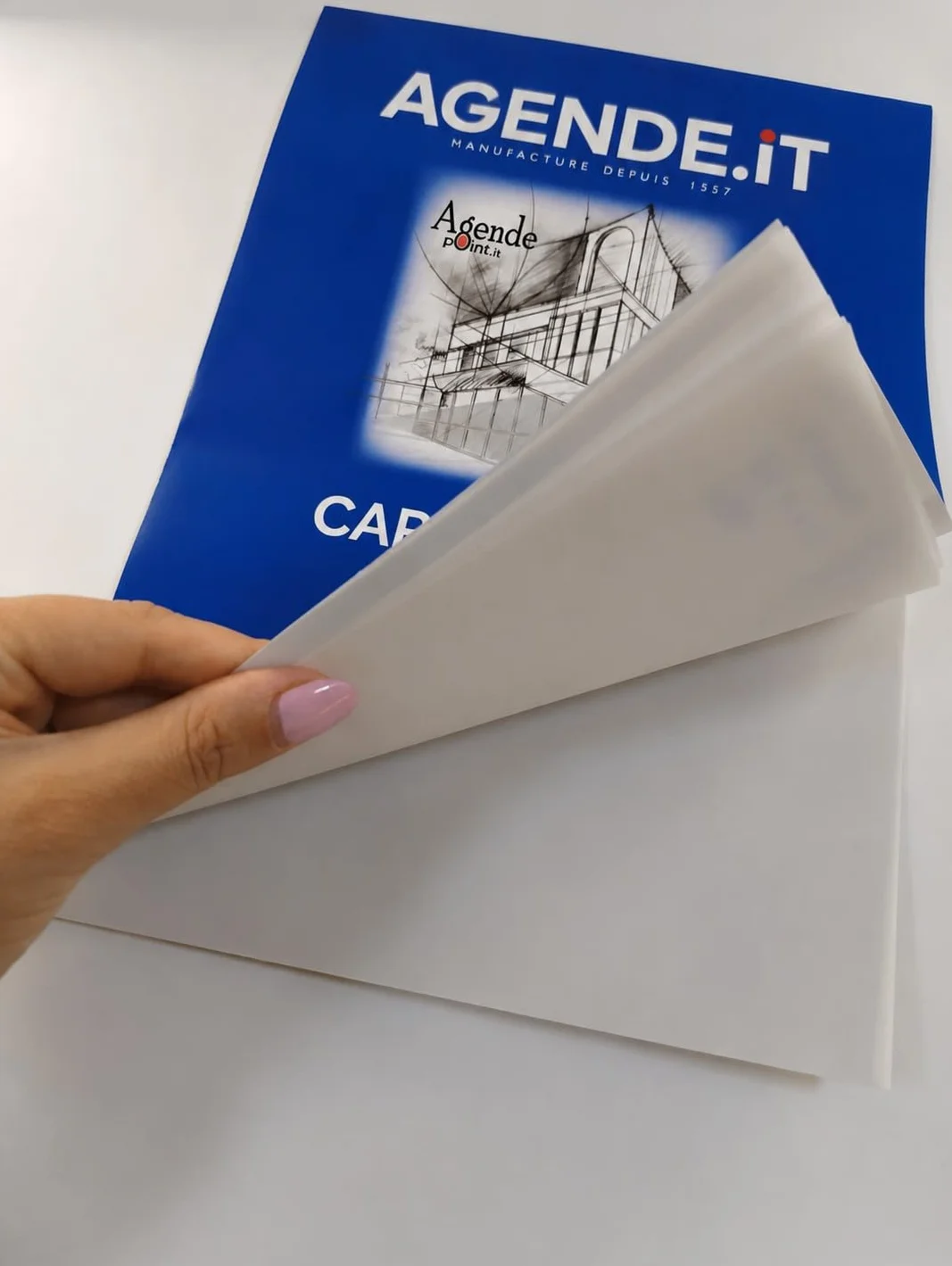 Agendepoint.it - Album Carta Lucida A4 21x30 cm - Blocco 10 Fogli 72 gr