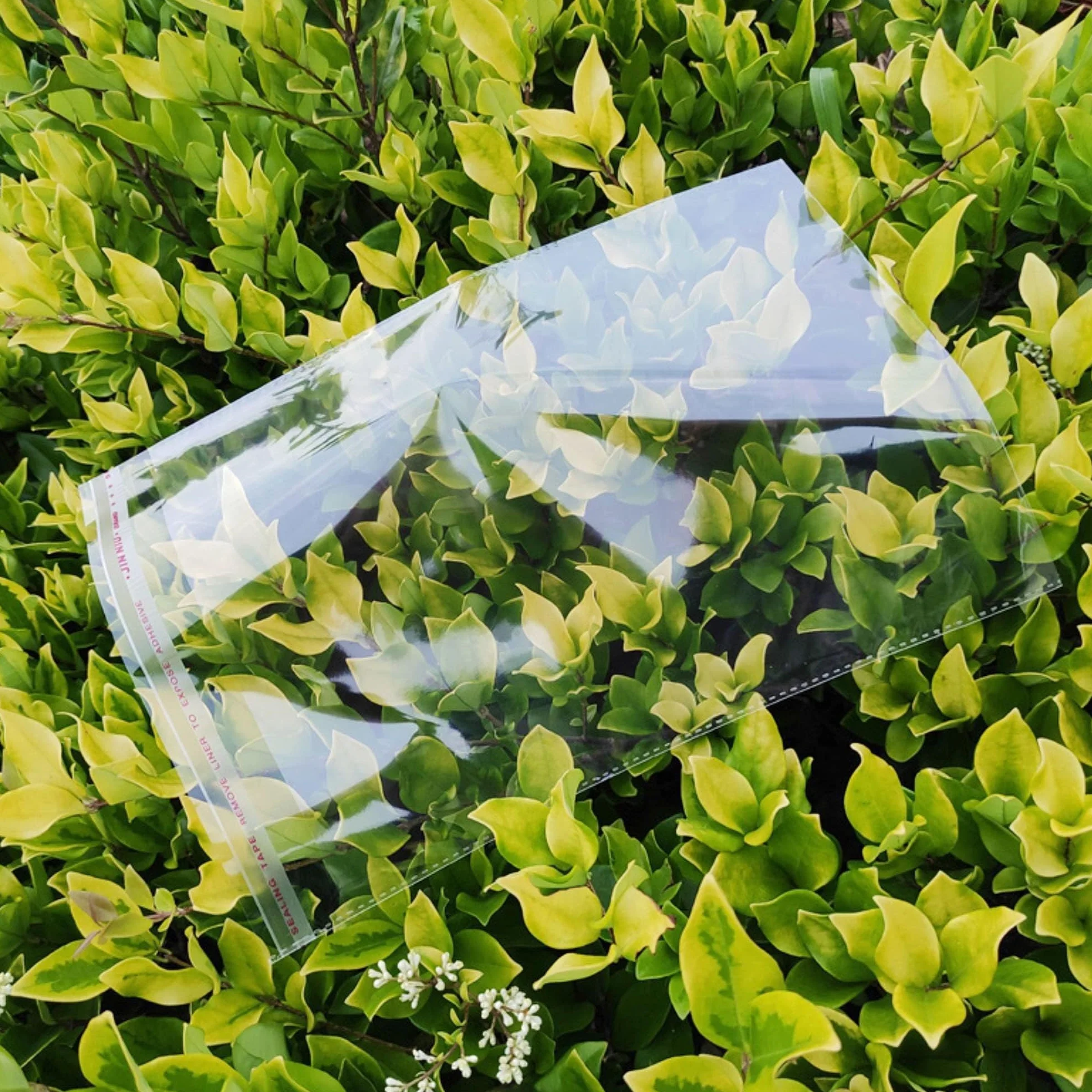 Buste Trasparenti Adesivo 100 Pezzi 30x46cm Sacchetti in Cellophan Autoadesivi 50µm Sacchettini Cellophane OPP Plastica con Abbigliamento per T-shirt Pantaloni A3 A4 (6 Misure a Scelta)