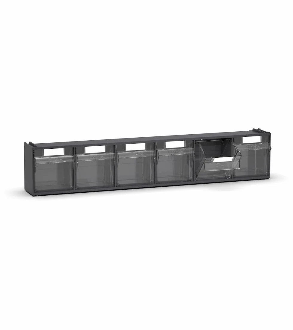 Fami - Cassettiera Porta Minuteria da Muro, Scaffali e Carrelli per Garage, Officina e Magazzini, 6 Cassetti Trasparenti Visual Box, Pannello Porta Viti e Bulloni, Dimensioni: 60 x 9,6 x 11,2 cm