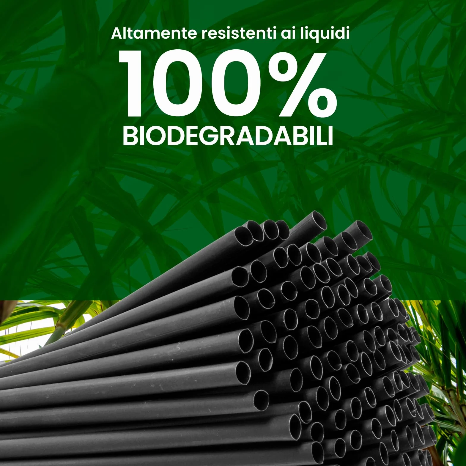 Cannucce Larghe Jumbo Nero 15 cm x 8 mm - 100% Biodegradabili Compostabili Riutilizzabili Made in Italy