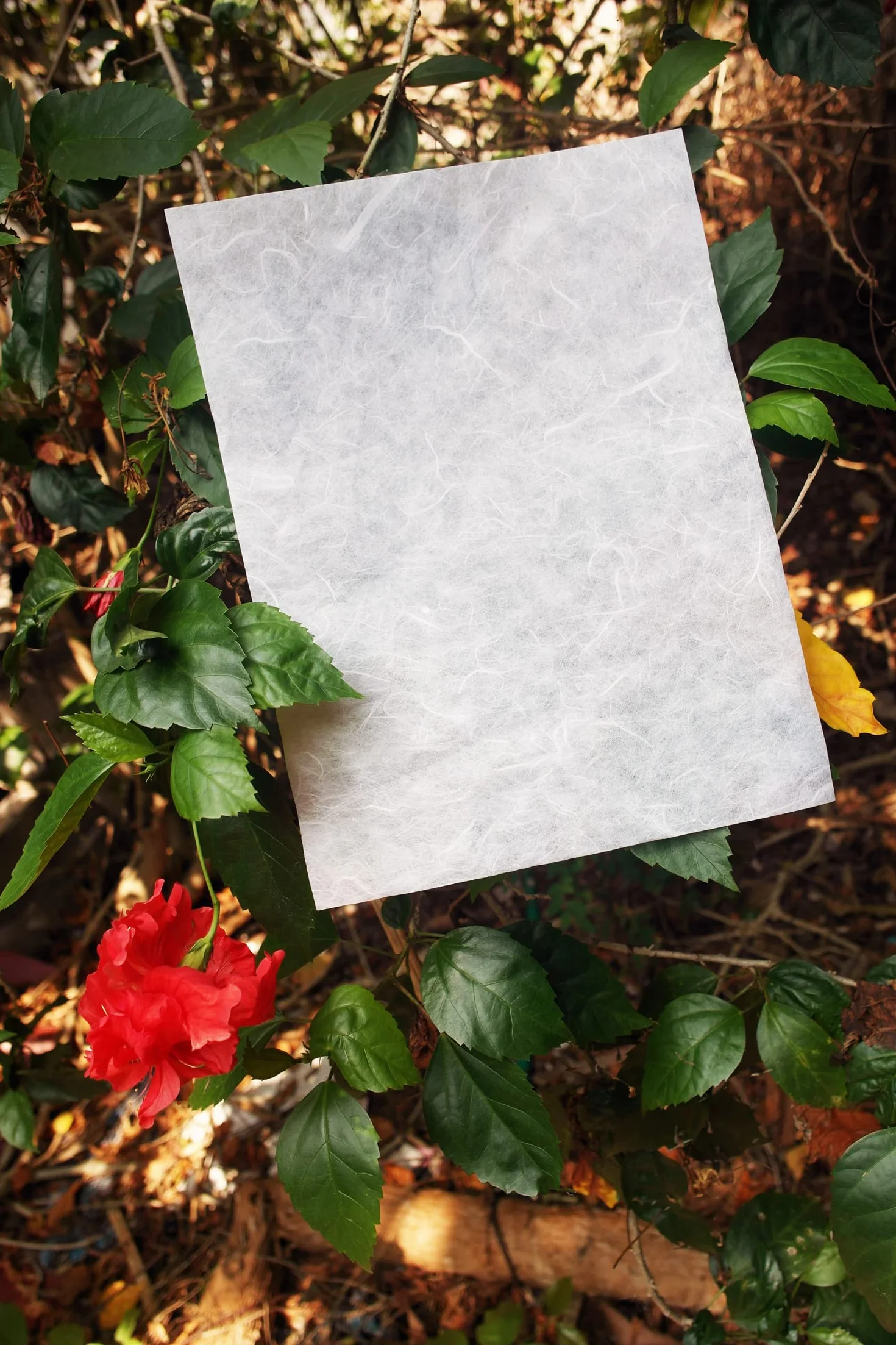 Fogli di carta di gelso bianco per origami, design artigianale, tessuti per washi, per la creazione di biglietti e decoupage su vetro (21,6 x 27,9 cm) (25 fogli)