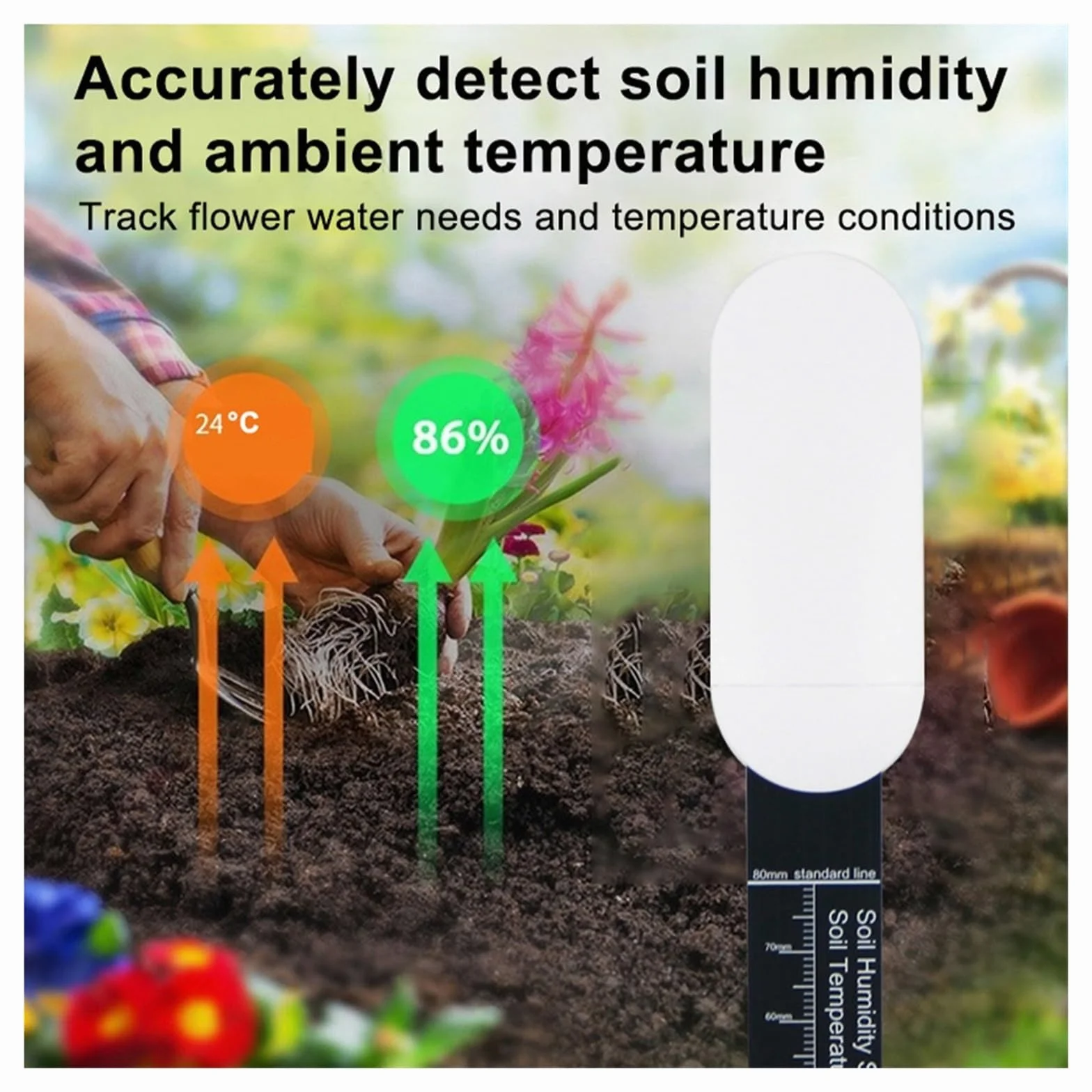 Tester del terreno, sensore di umidità, temperatura, umidità, monitor APP, automazione del giardino, rilevatore di irrigazione,Test rapidi(10 pcs)