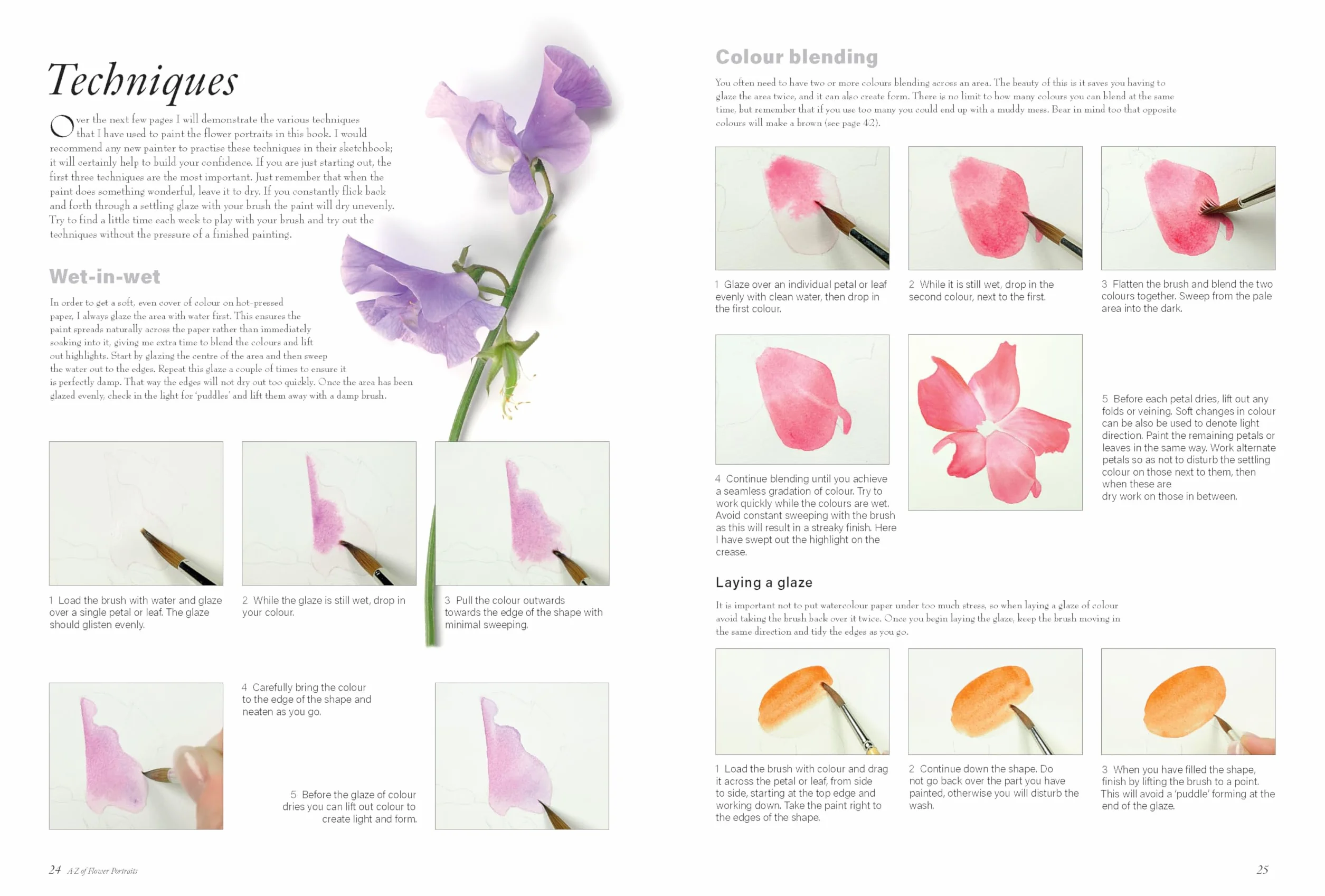 A-Z of Flower Portraits: An Illustrated Guide to Painting 40 Beautiful Flowers in Watercolour