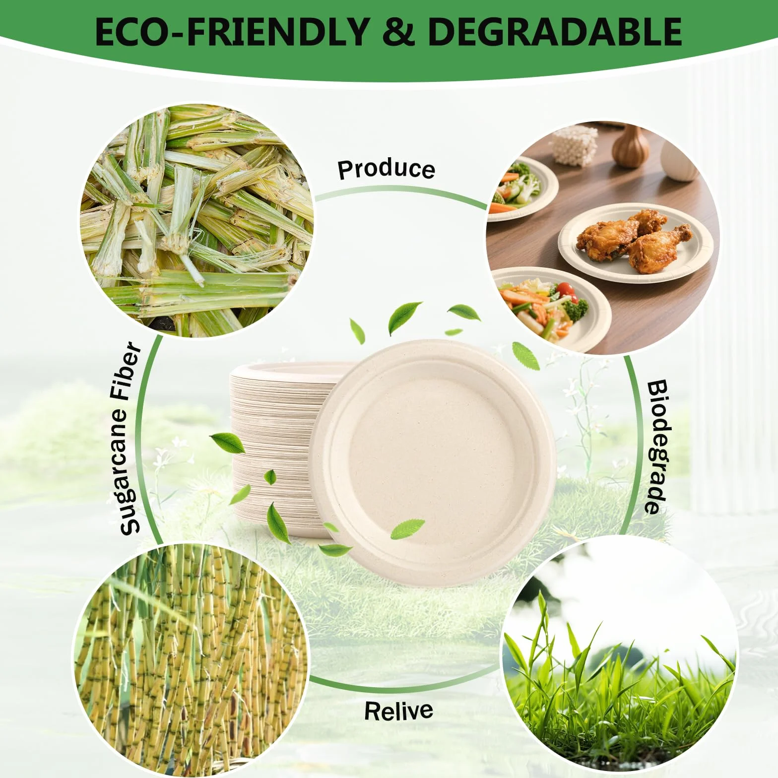Piatti di Carta 100 Pcs Biodegradabili Compostabili 15.2 cm per Festa Campeggio