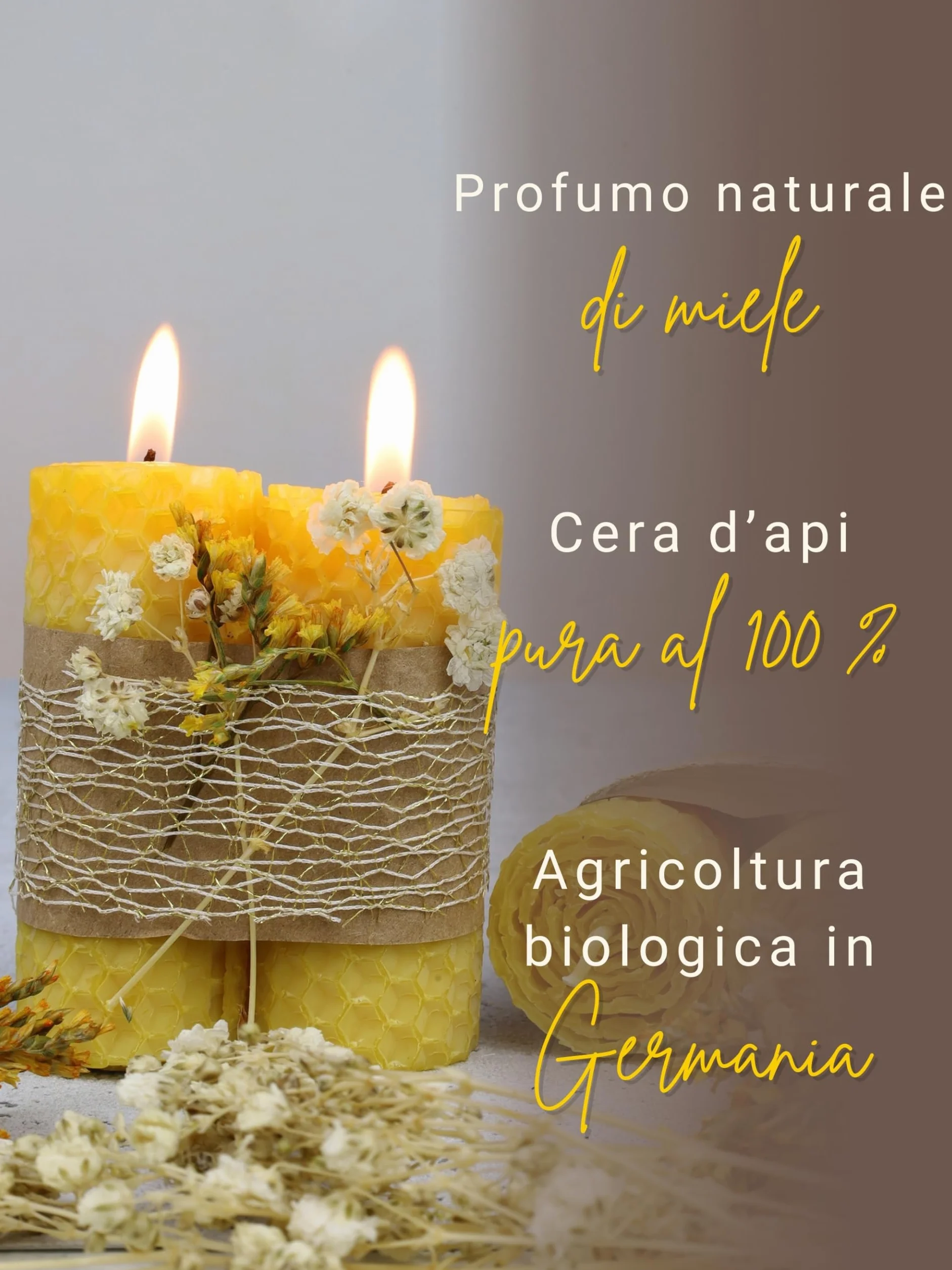 Wachsmann - Cera d’api pura al 100% con certificato Made in Germany, fogli di cera d'api e divisori, per candele fai da te, per apicoltori professionali e per hobby, meraviglioso profumo