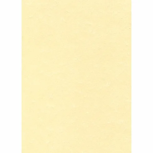 CARTA PERGAMENA NATURALE A4 160 gr./m2-10 FOGLI