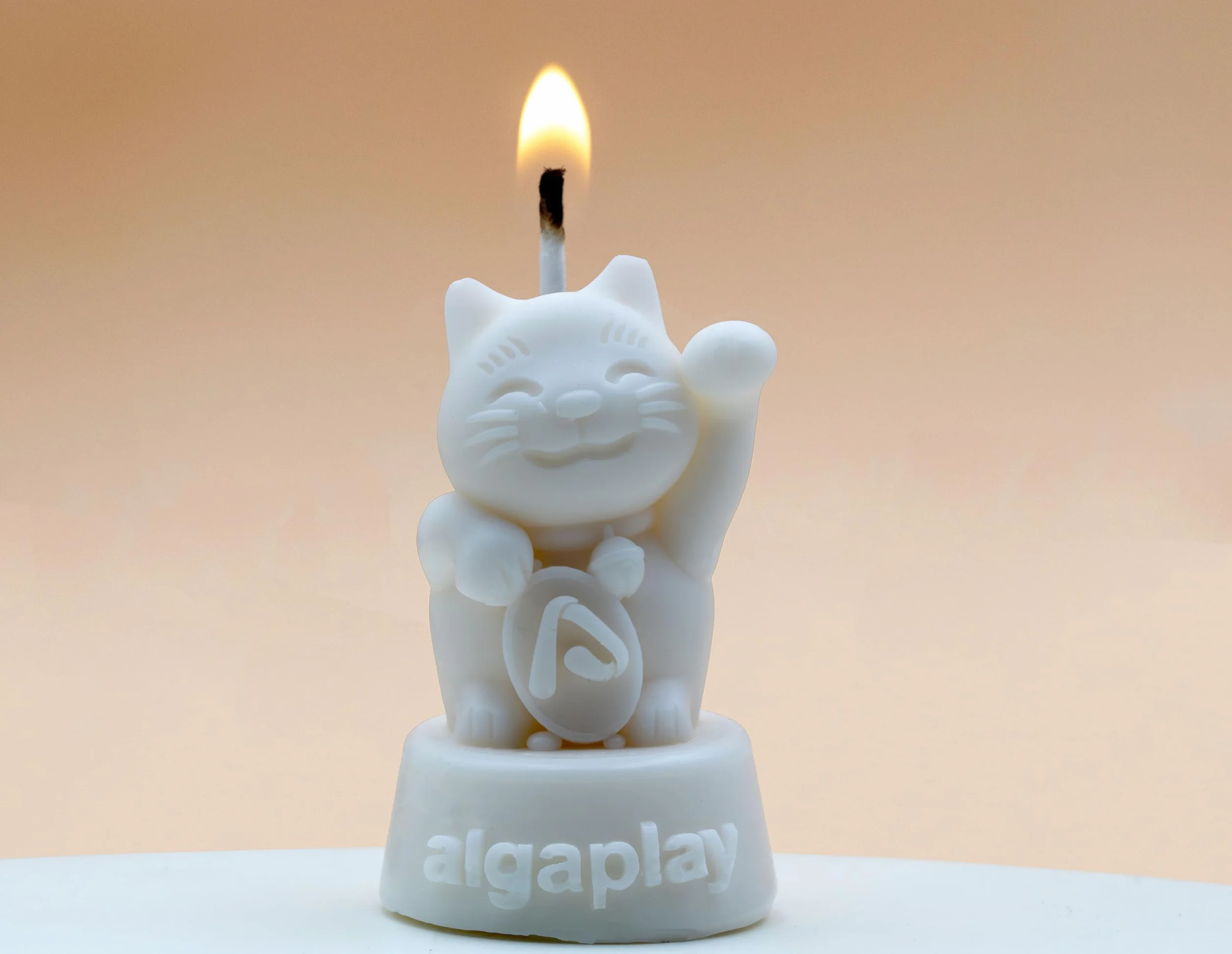 Algaplay Leonardo Wax - Cera speciale per creare candele da stampi in silicone. (500)