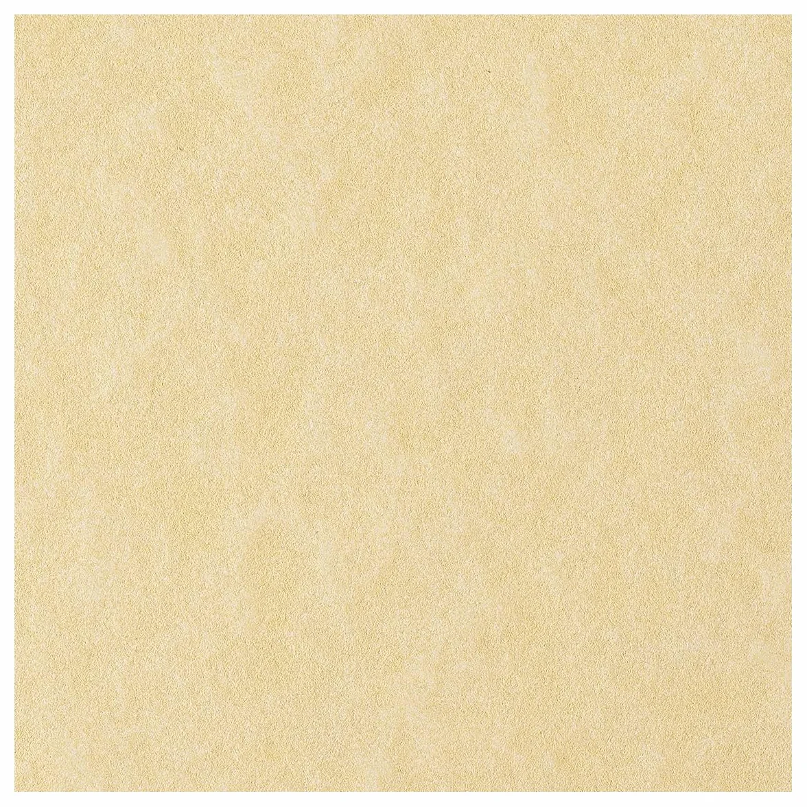 Favini A692084 Calligraphy Pergamena Liscio, 50 Fogli