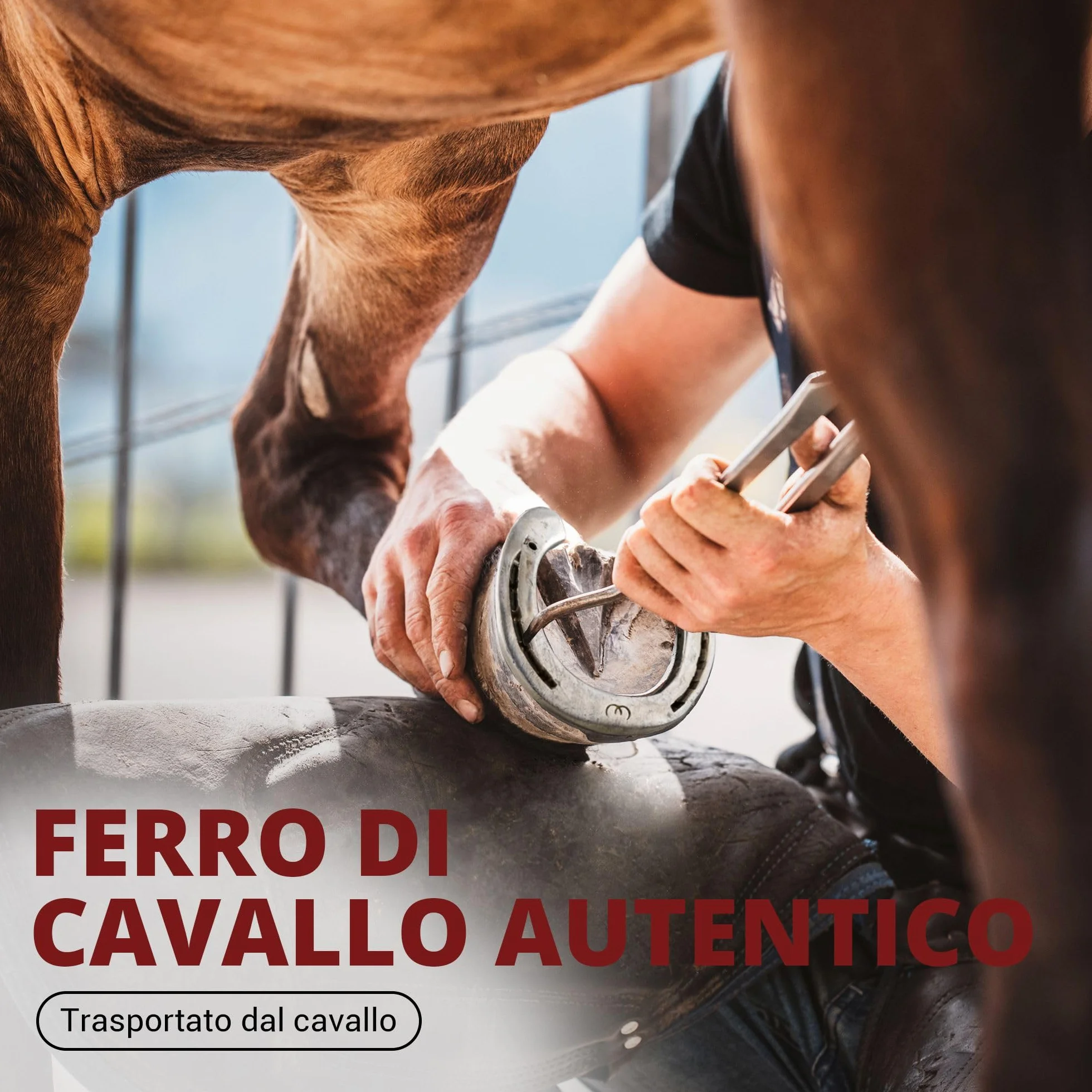 PURAJA Ferro di cavallo autentico consumato portafortuna originale con certificato