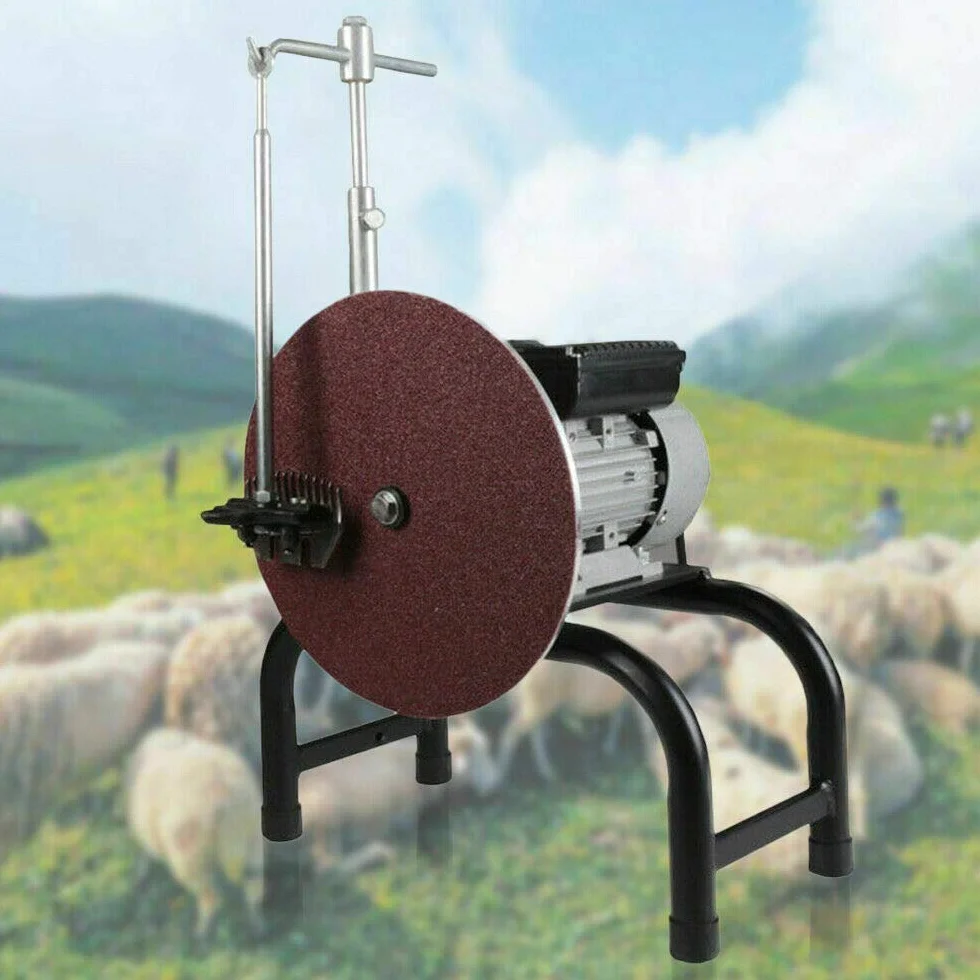 Macchina elettrica per tosare le pecore 480W, affilatoio elettrico per coltelli, tosatrice elettrica per pecore, tosatrice elettrica per lana, strumento di lucidatura