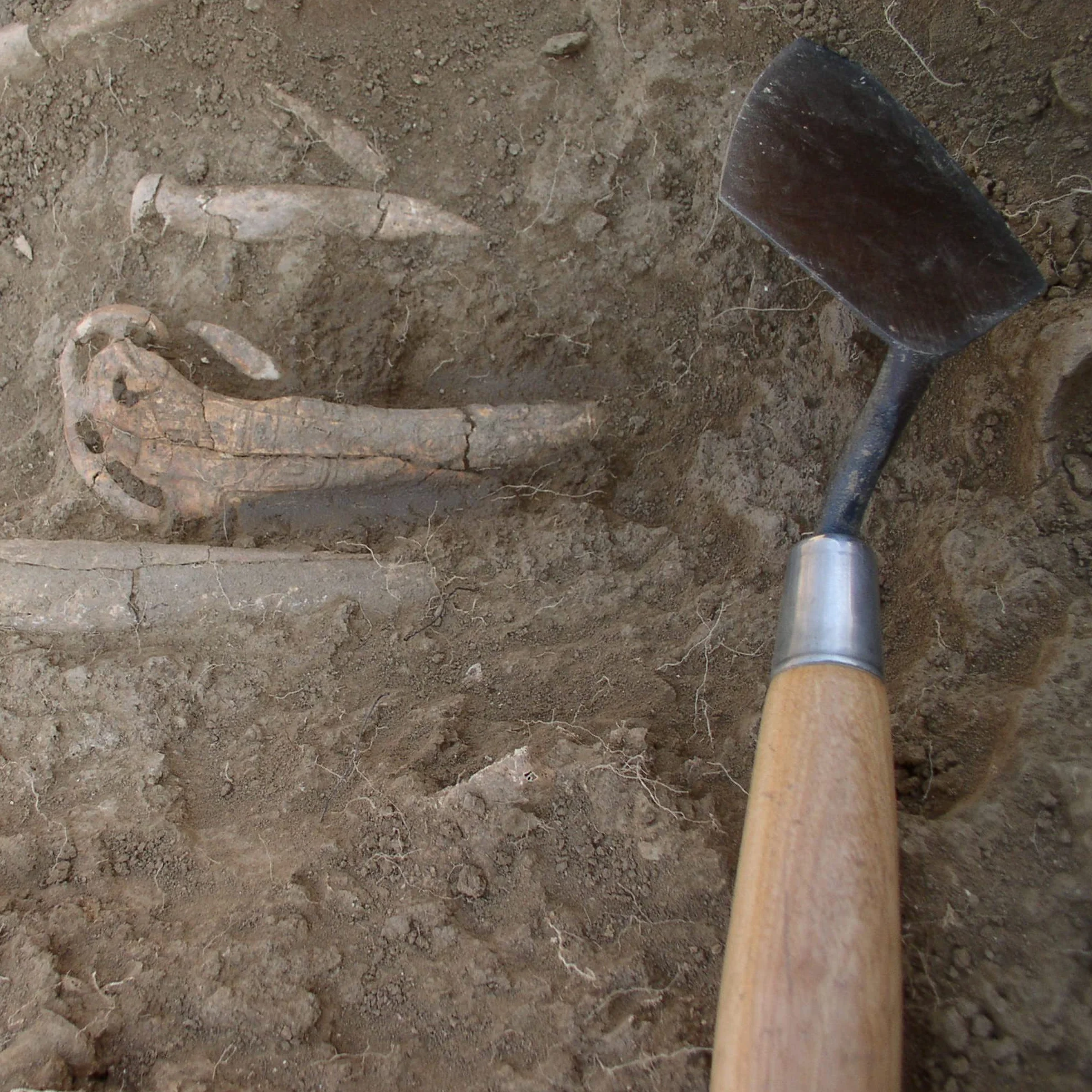 Marshalltown 46 114S Archaeology Trowel, Rigida a Punta in Stile londinese, con Manico in Legno, cazzuola in Acciaio, Dimensioni: 102x51 mm, Argento