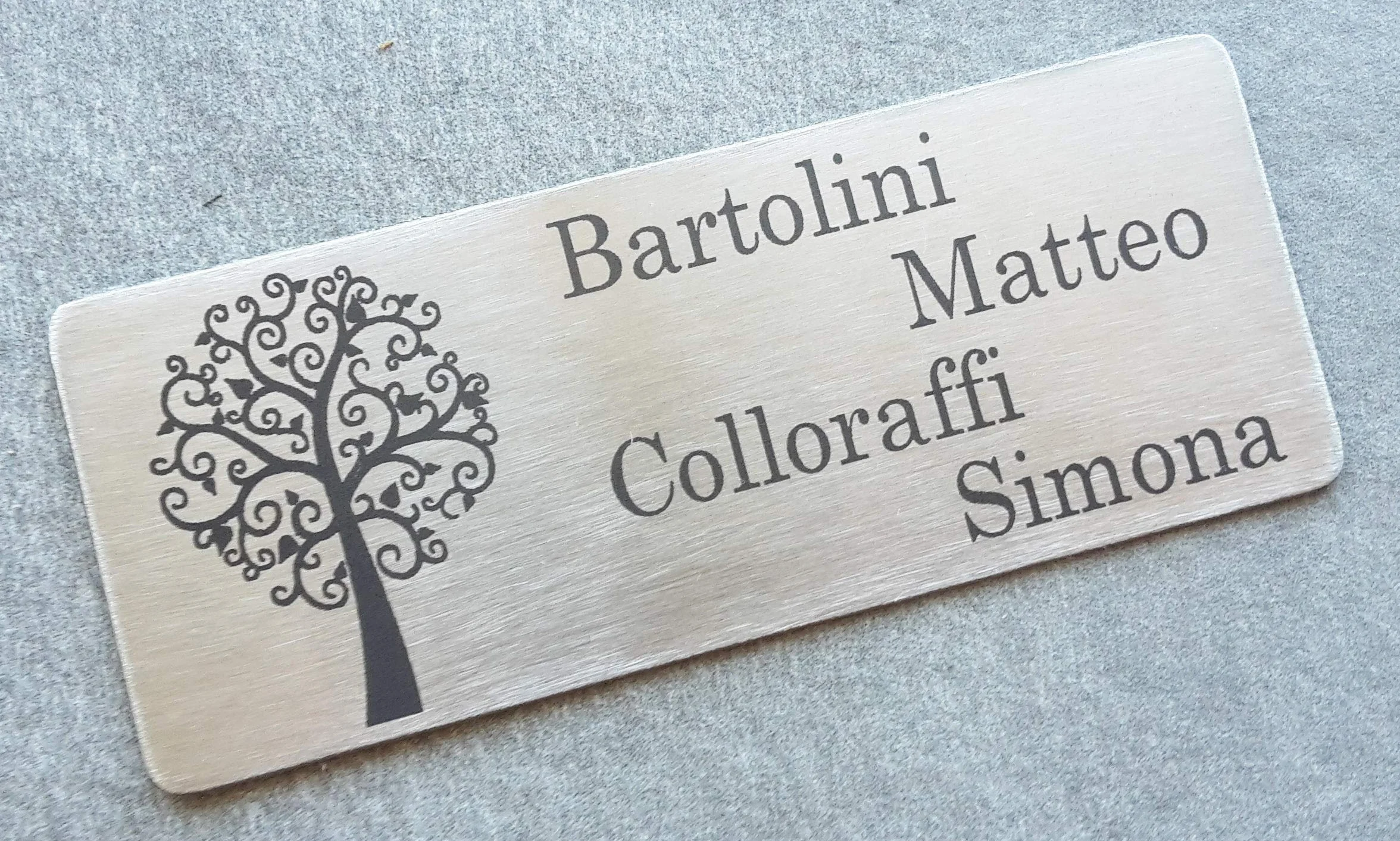 GUIZZO Creart - Targa Personalizzata con Nome, Via e/o Famiglia in Acciaio Inox, Targhetta Personalizzata Made in Italy, Targhetta Porta Ingresso Personalizzata Multiuso Modificabile, 10x4 H cm