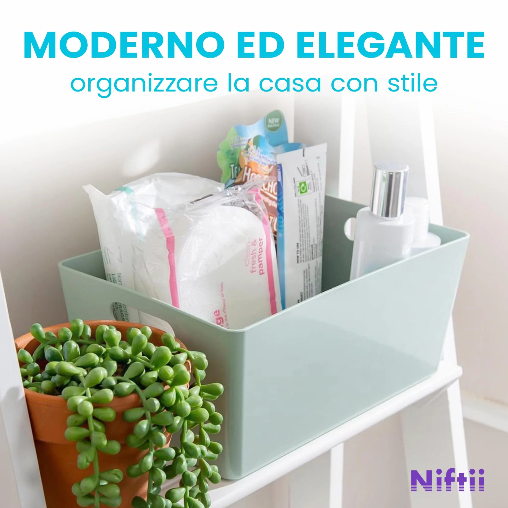 NIFTII 5 Pezzi Cestini Portaoggetti in Plastica con Manici 3,9 L Salvia Organizer per Armadio