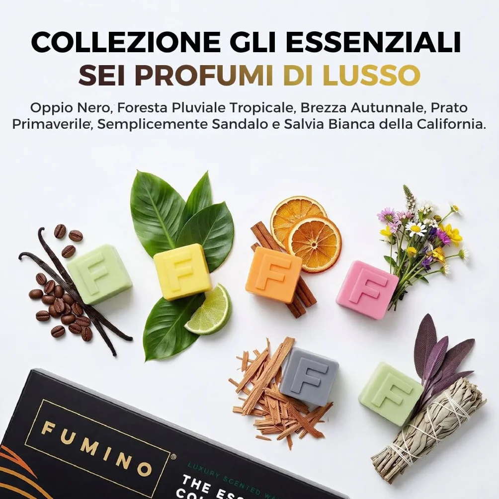 Cera Fresca Profumata da Sciogliere Wax Melt Tart Artigianale Multipack 12 Cere 6 Fragranze con Cera d’Api e Olio di Cocco