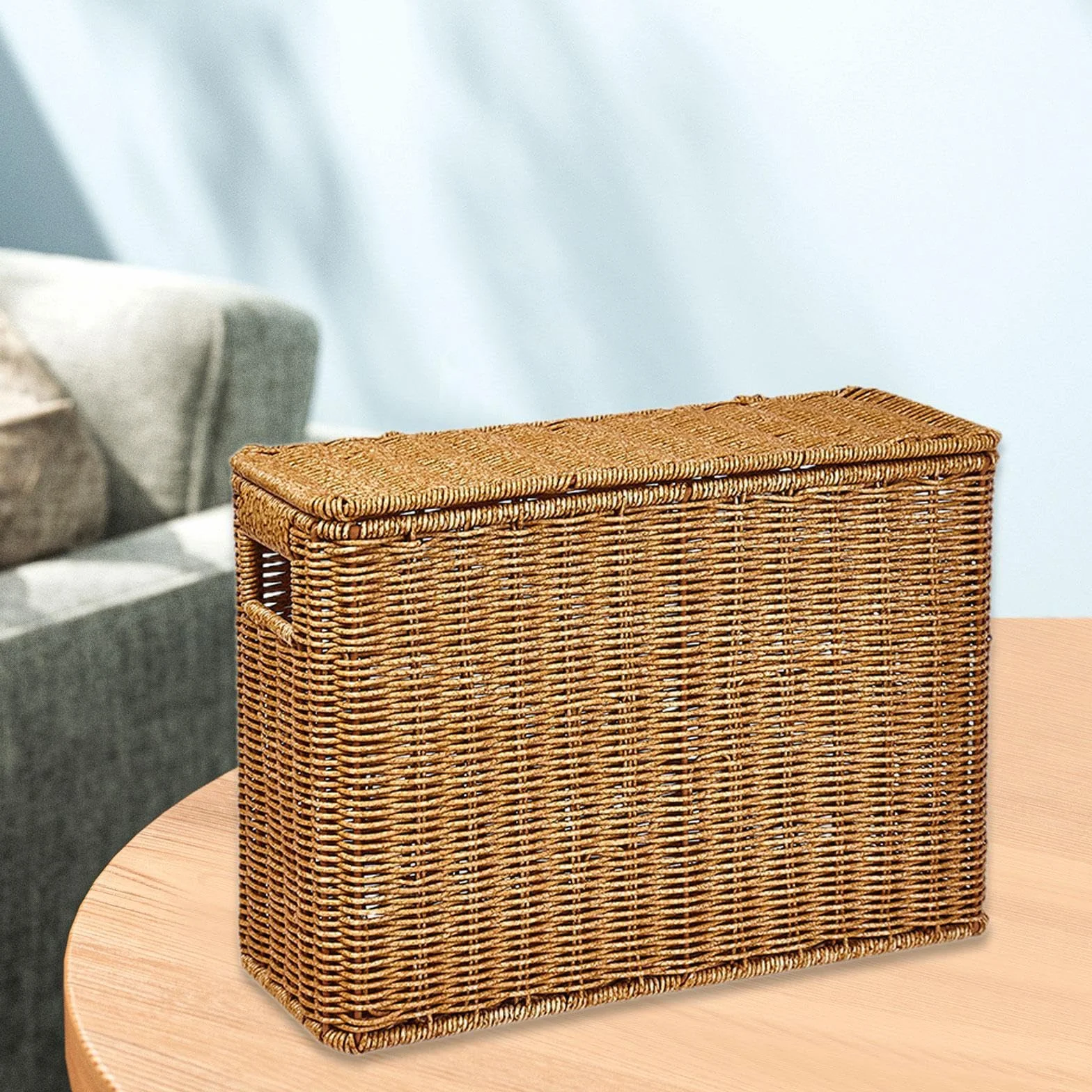 Gralara Cestino Stretto Portaoggetti, Cestino Portaoggetti Intrecciato in PP, Porta Riviste per Cucina, Camera da Letto, Cameretta, Salotto e Ufficio, S (38 x 15 x 27 Cm)