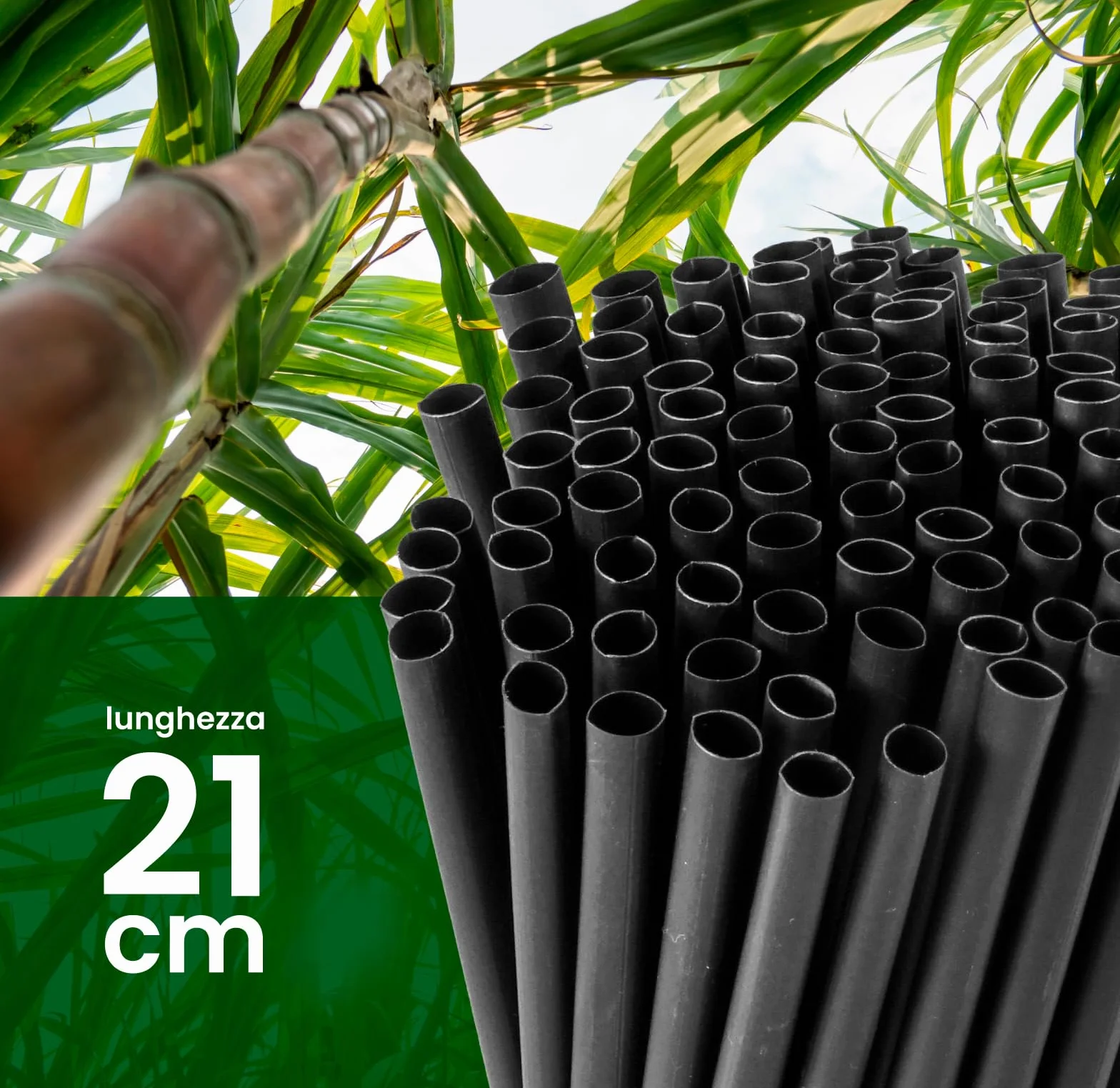 Cannucce Rigide Riutilizzabili 100% Ecologiche Compostabili - Nero 21cm x 6,8mm - Made in Italy