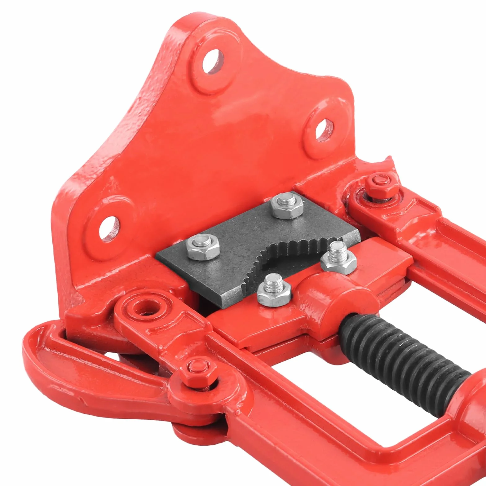 Morsa per tubi forgiata, 10-60 mm, morsa da tavolo di tubi