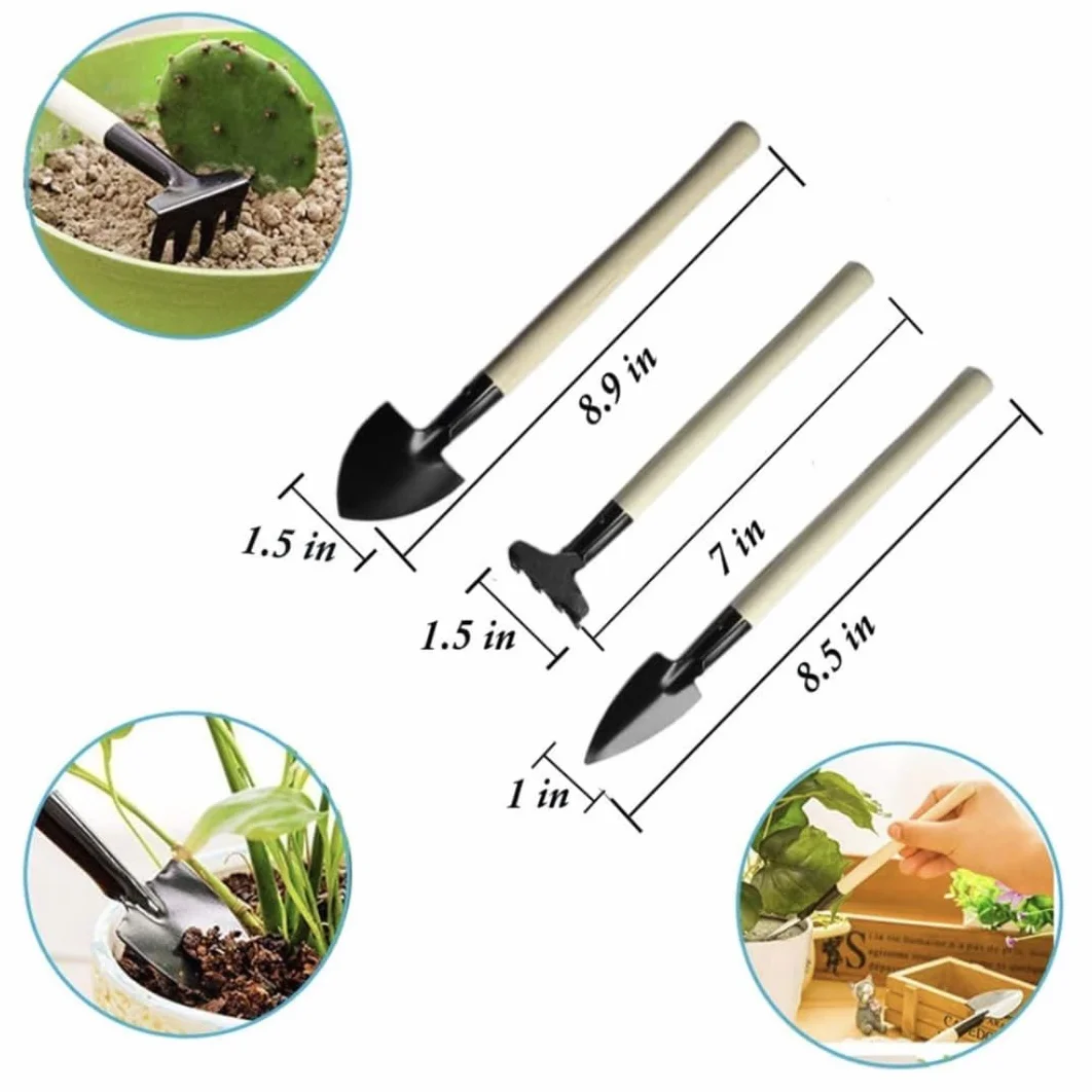 Set di strumenti da giardino da 14 pezzi per trapianto manuale di cactus