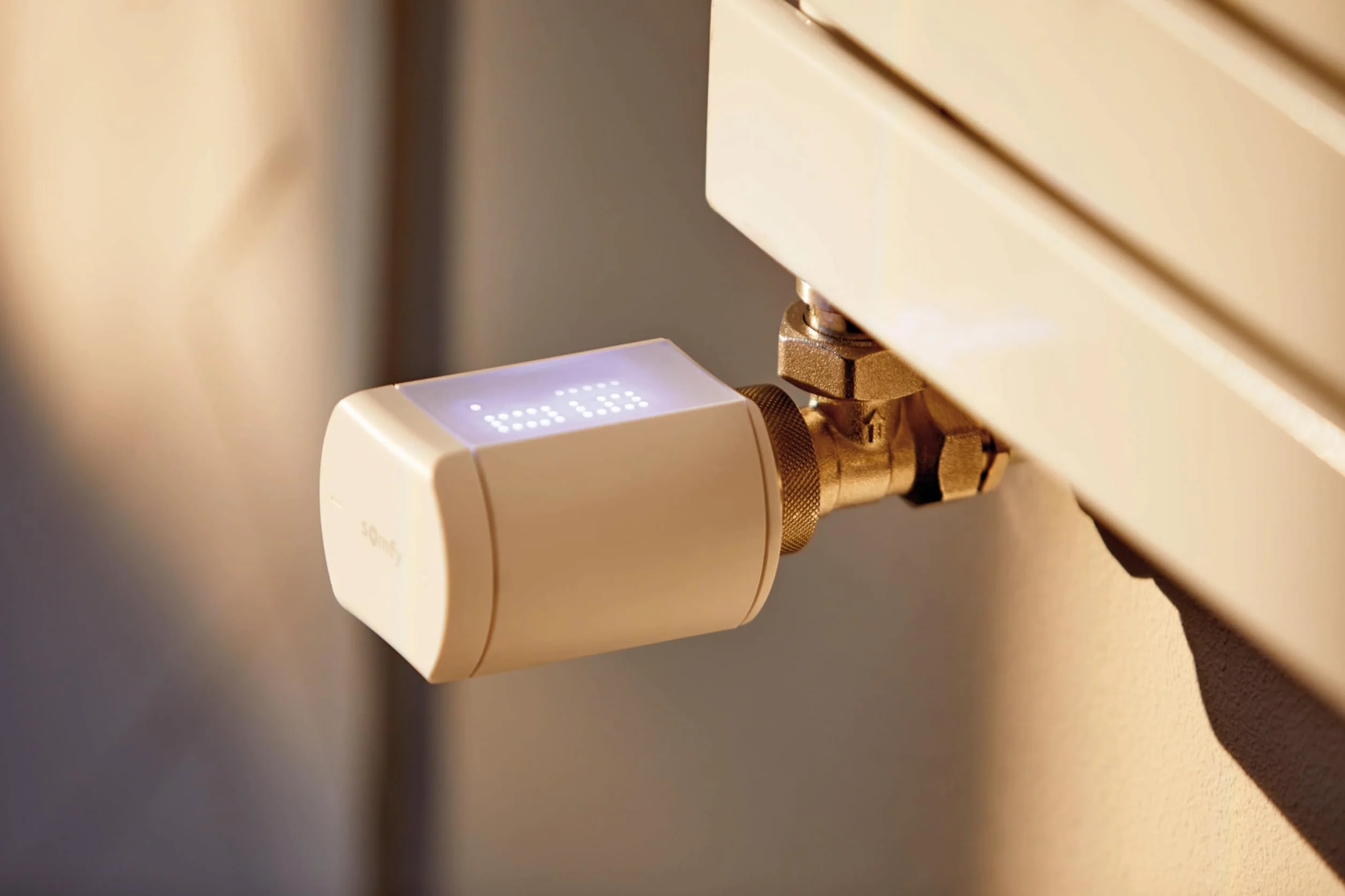 Somfy 1870508 - Valvola termostatica collegata io - Per controllare la temperatura dei radiatori ad acqua calda con Tahoma (interruttore) - Silenziosa