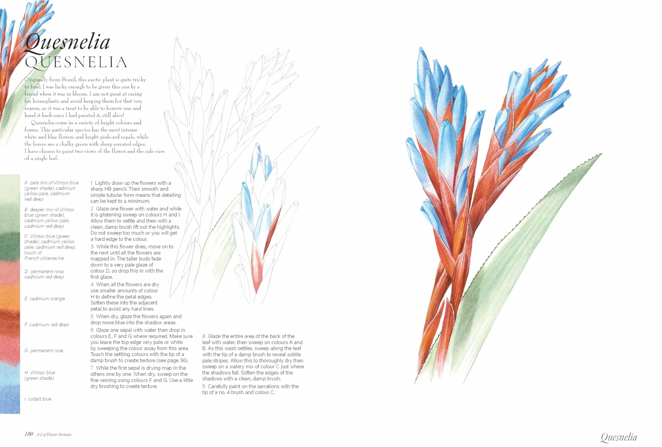 A-Z of Flower Portraits: An Illustrated Guide to Painting 40 Beautiful Flowers in Watercolour