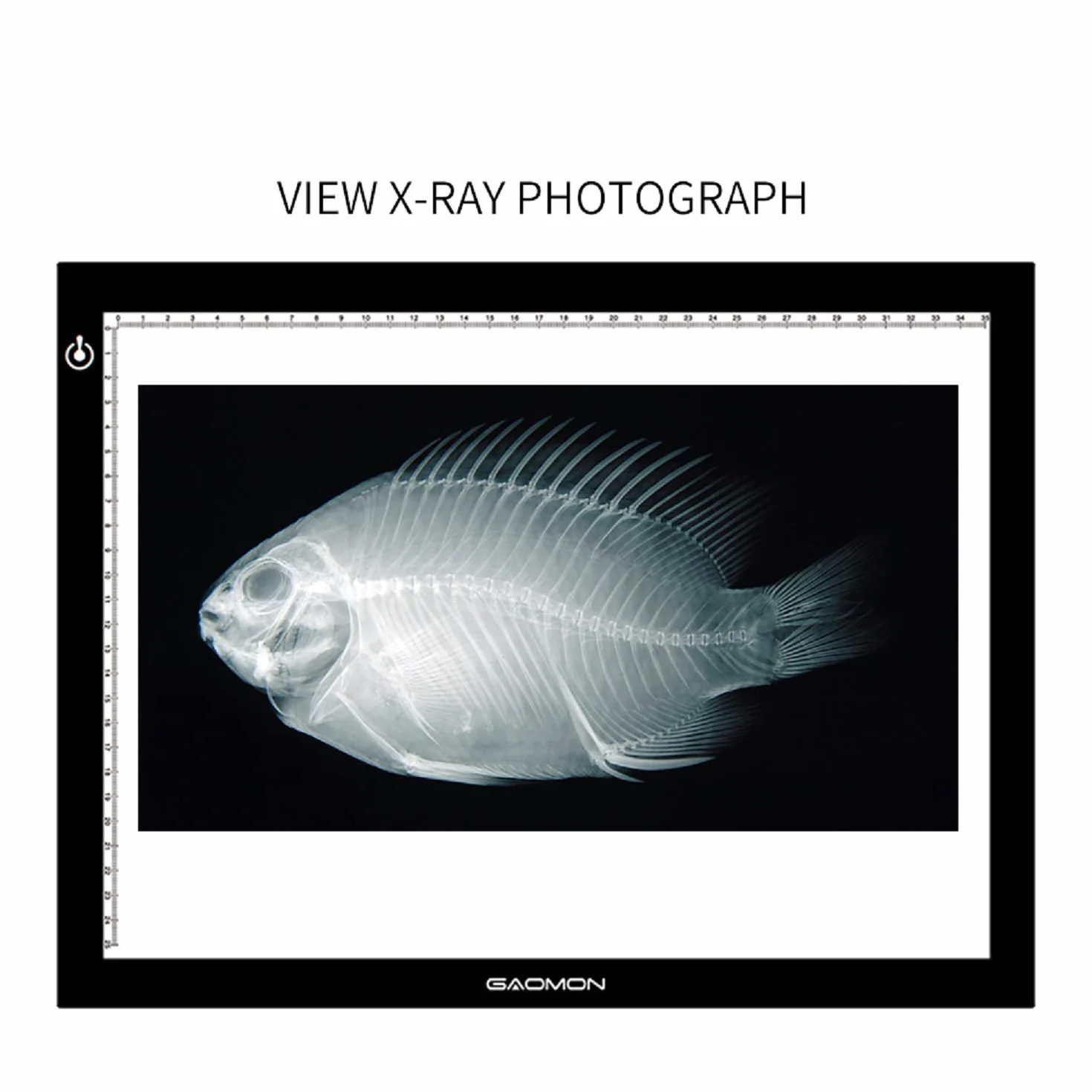 GAOMON B4 Size LED Tavoletta Luminosa per Sketch e Copia - GB4