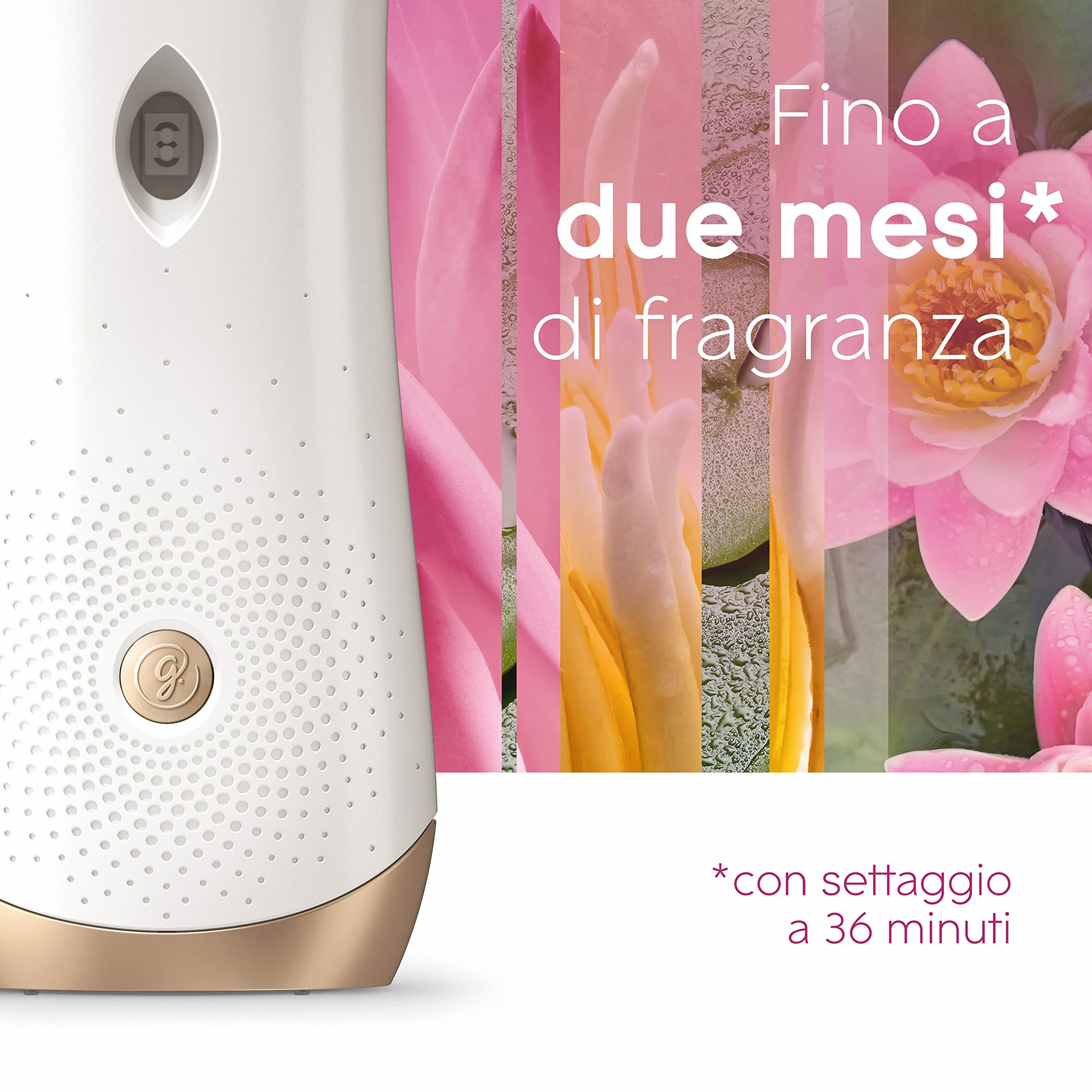 Glade Automatic Spray Ricarica Profumatore per Ambienti Fragranza Relaxing Zen 4 x 269 ml
