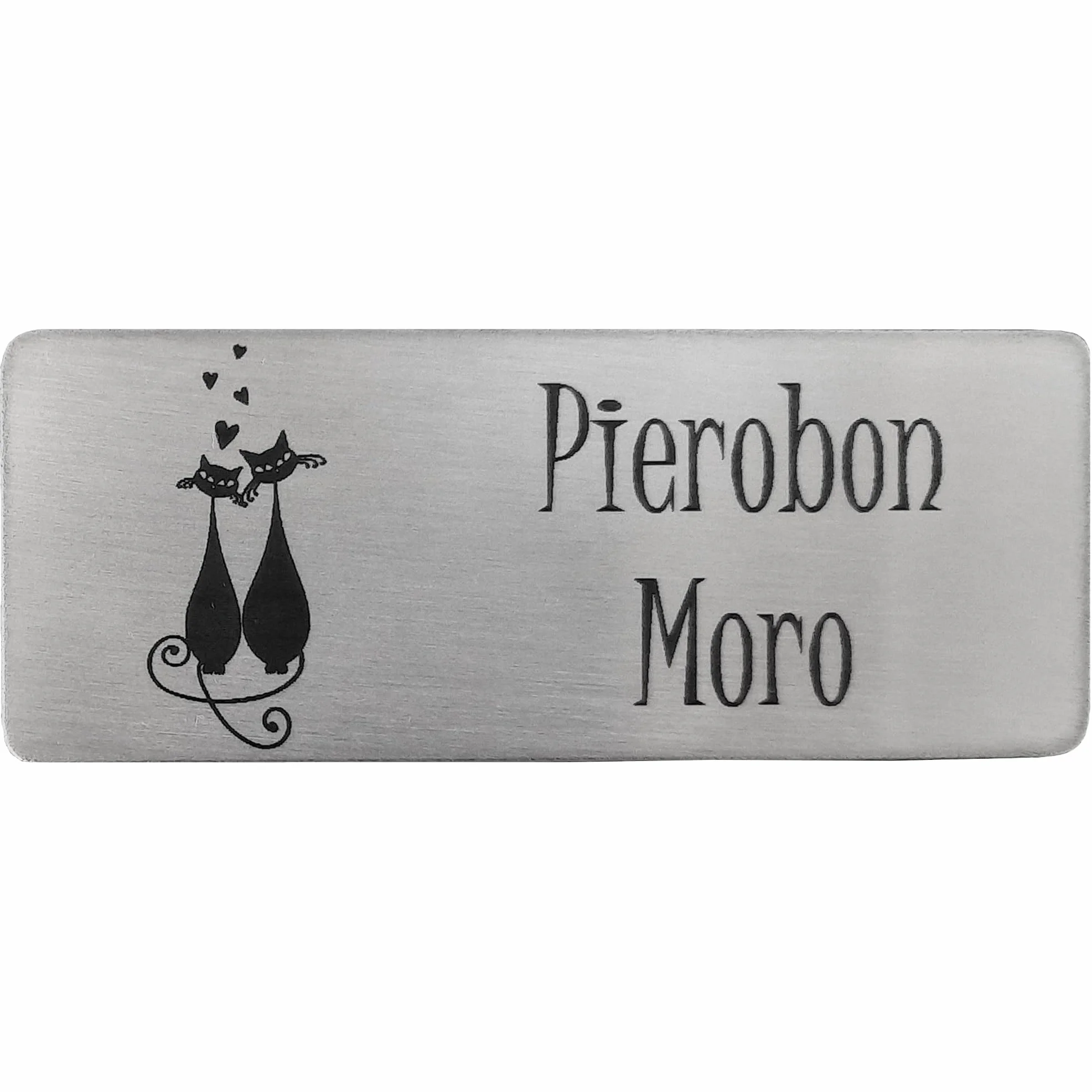GUIZZO Creart - Targa Personalizzata con Nome, Via e/o Famiglia in Acciaio Inox, Targhetta Personalizzata Made in Italy, Targhetta Porta Ingresso Personalizzata Multiuso Modificabile, 10x4 H cm