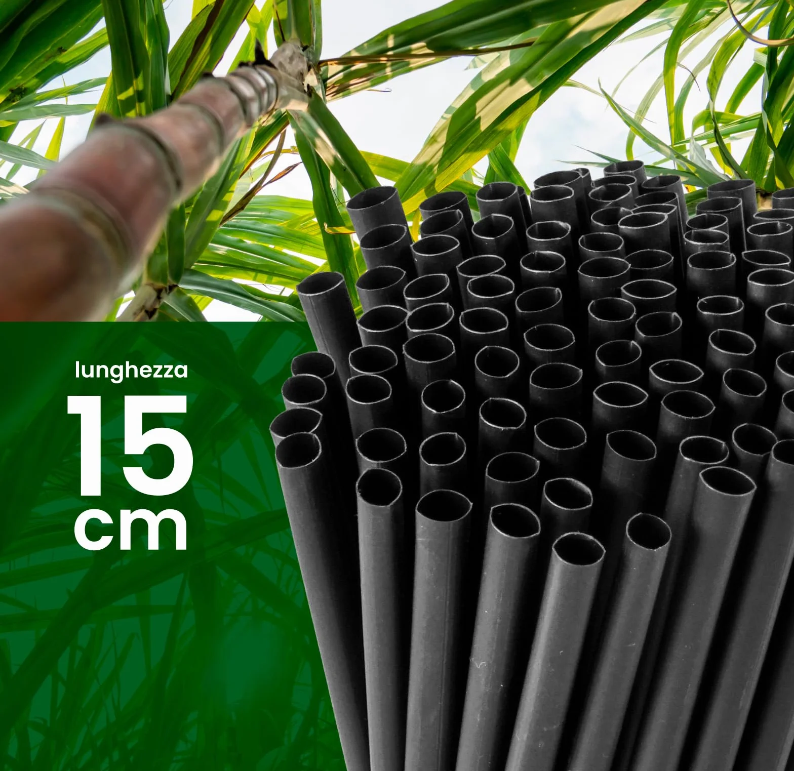 Cannucce Larghe Jumbo Nero 15 cm x 8 mm - 100% Biodegradabili Compostabili Riutilizzabili Made in Italy