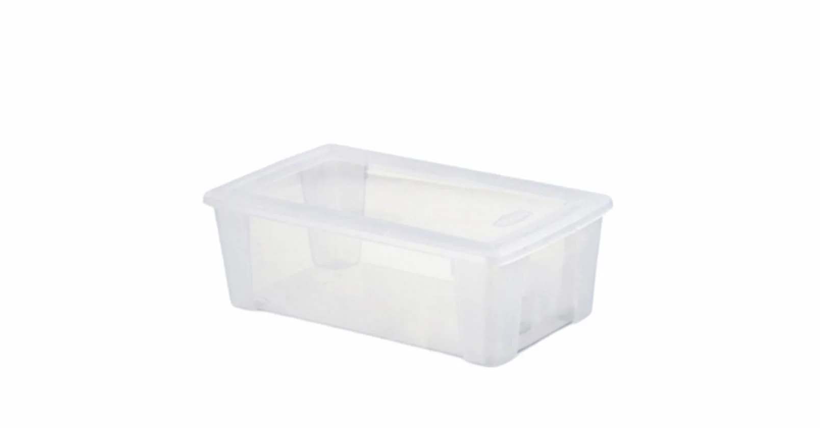 Stefanplast Visualbox Scatola Multiuso M 32,5x19x11