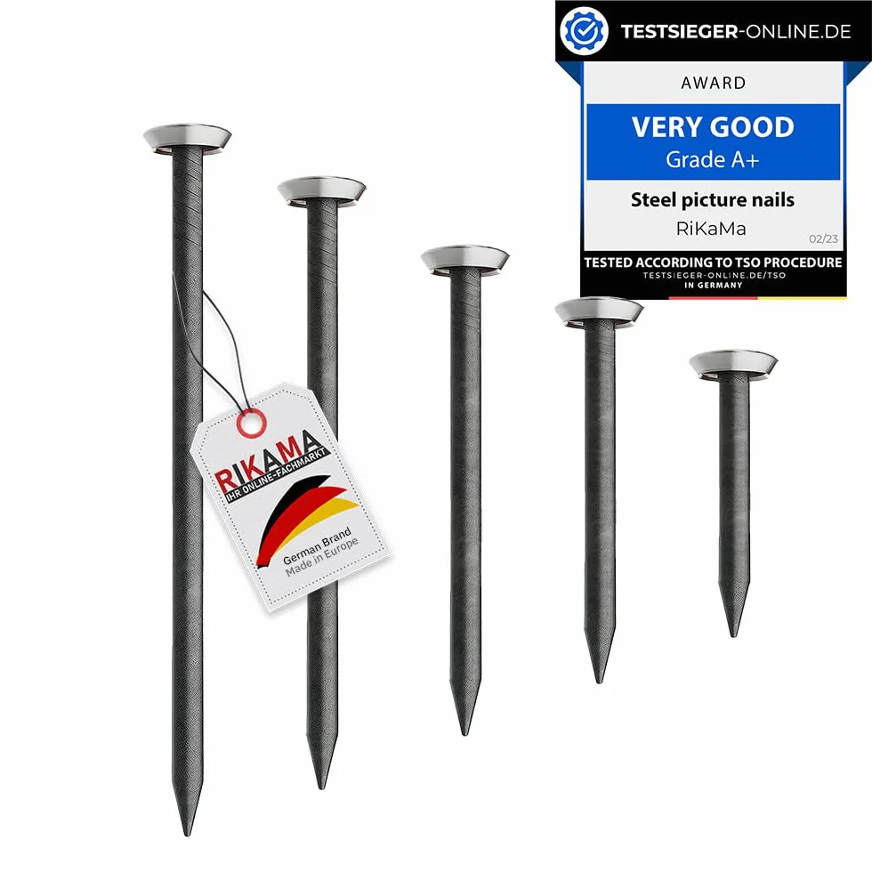 RIKAMA® – 50 chiodi per quadri in mix di 10 x 20 mm, 25 mm, 30 mm, 40 mm, 50 mm – chiodi in acciaio per l'uso su calcestruzzo, mattoni, intonaco e legno – Made in Europe (testa argentata)