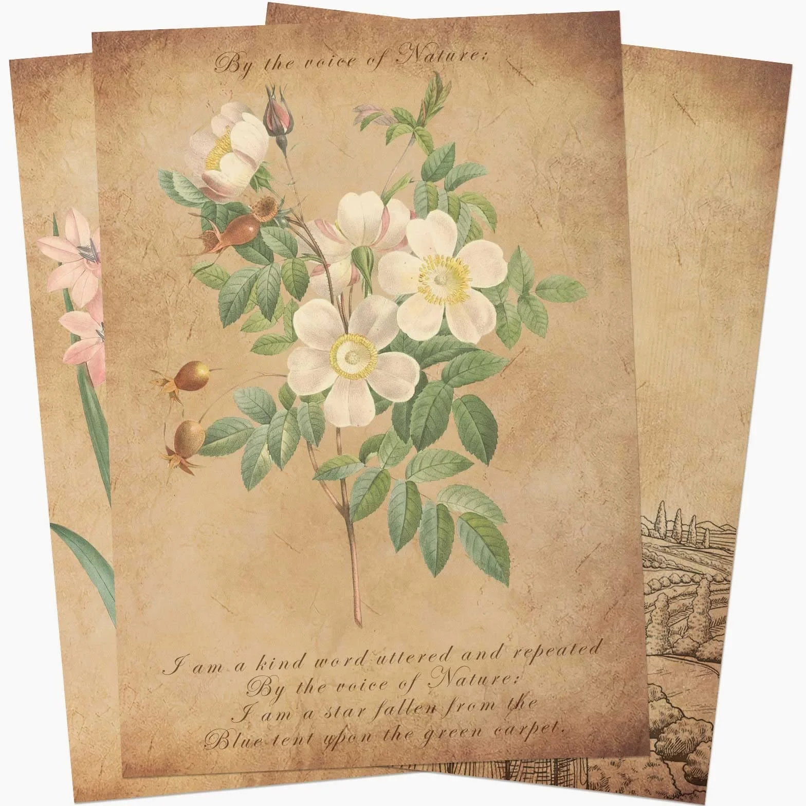 25 fogli di carta pergamena DIN A4 per inviti di compleanno con calligrafia stampata su entrambi i lati